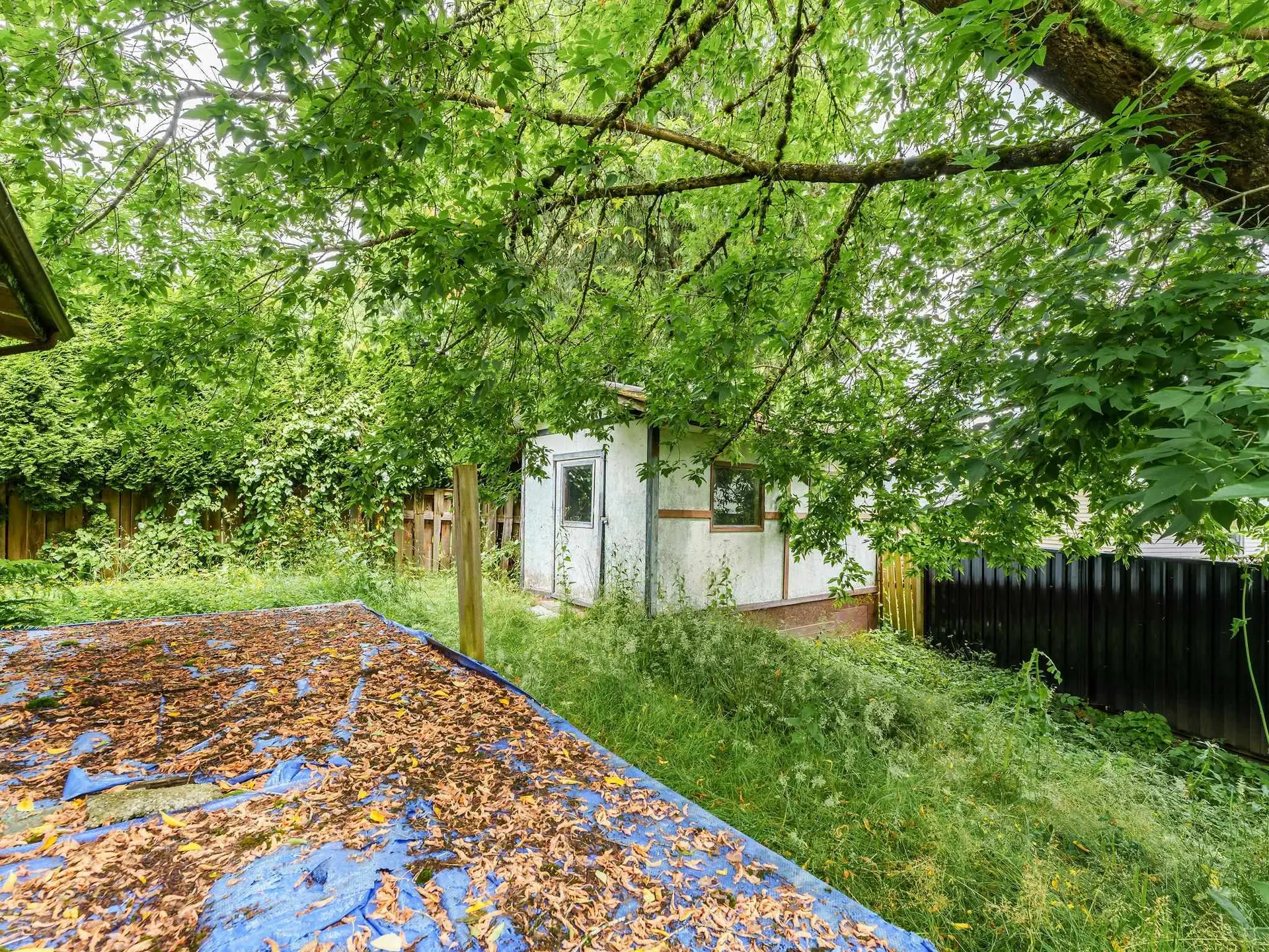 7092 129a Street - Image 12