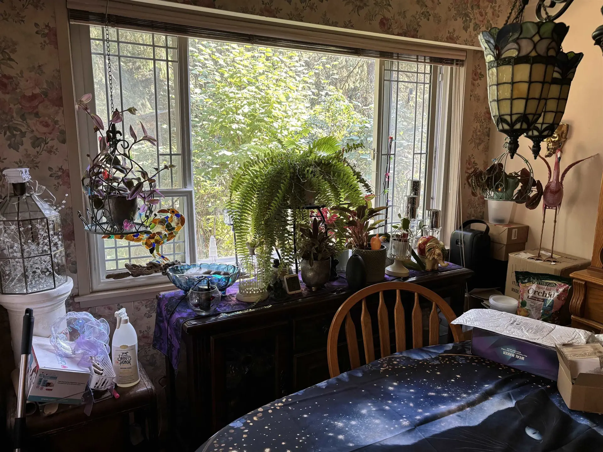 27338 112 Avenue - Image 5