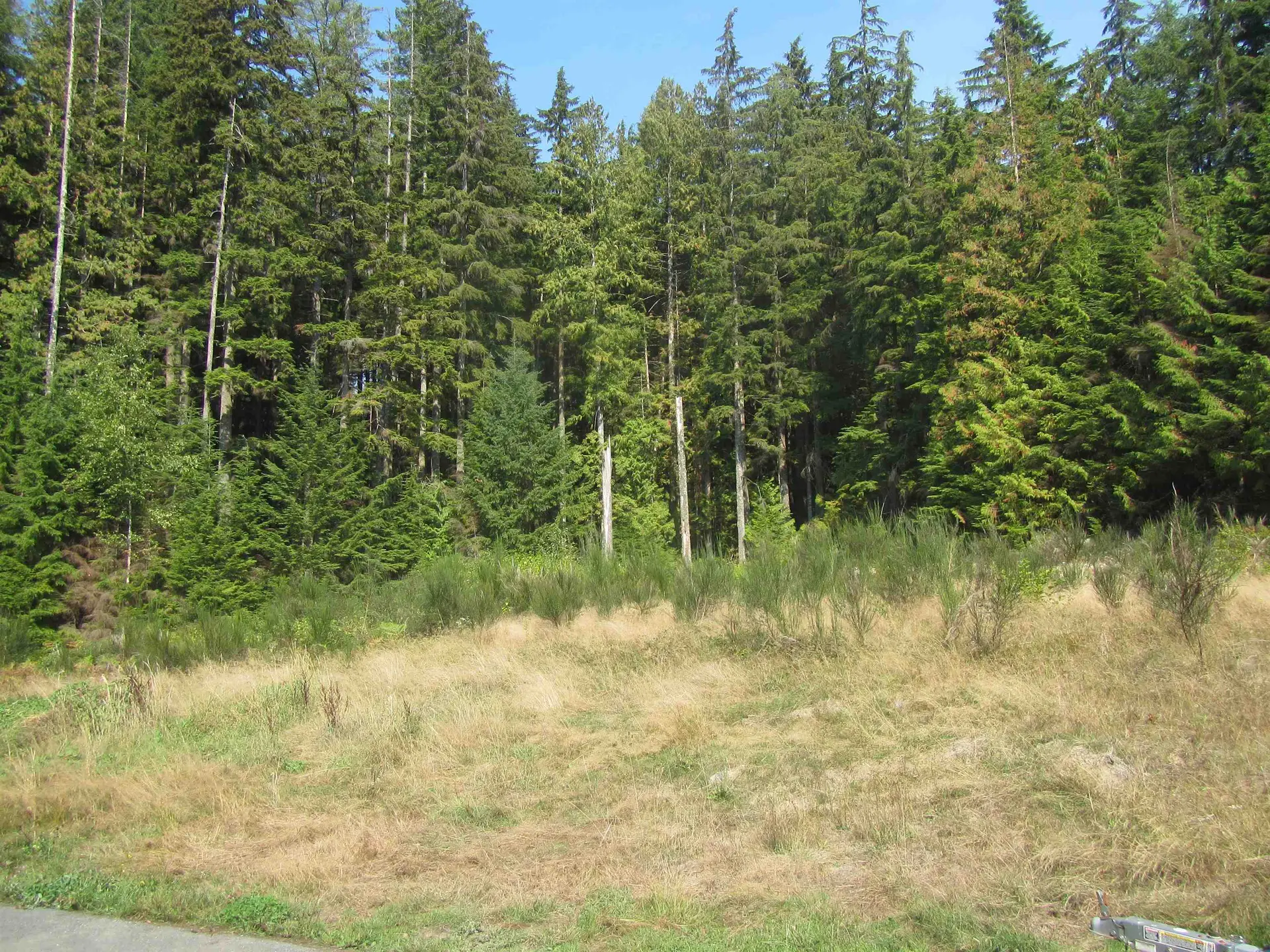 Property at 12293 CARDINAL STREET, Mission, BC