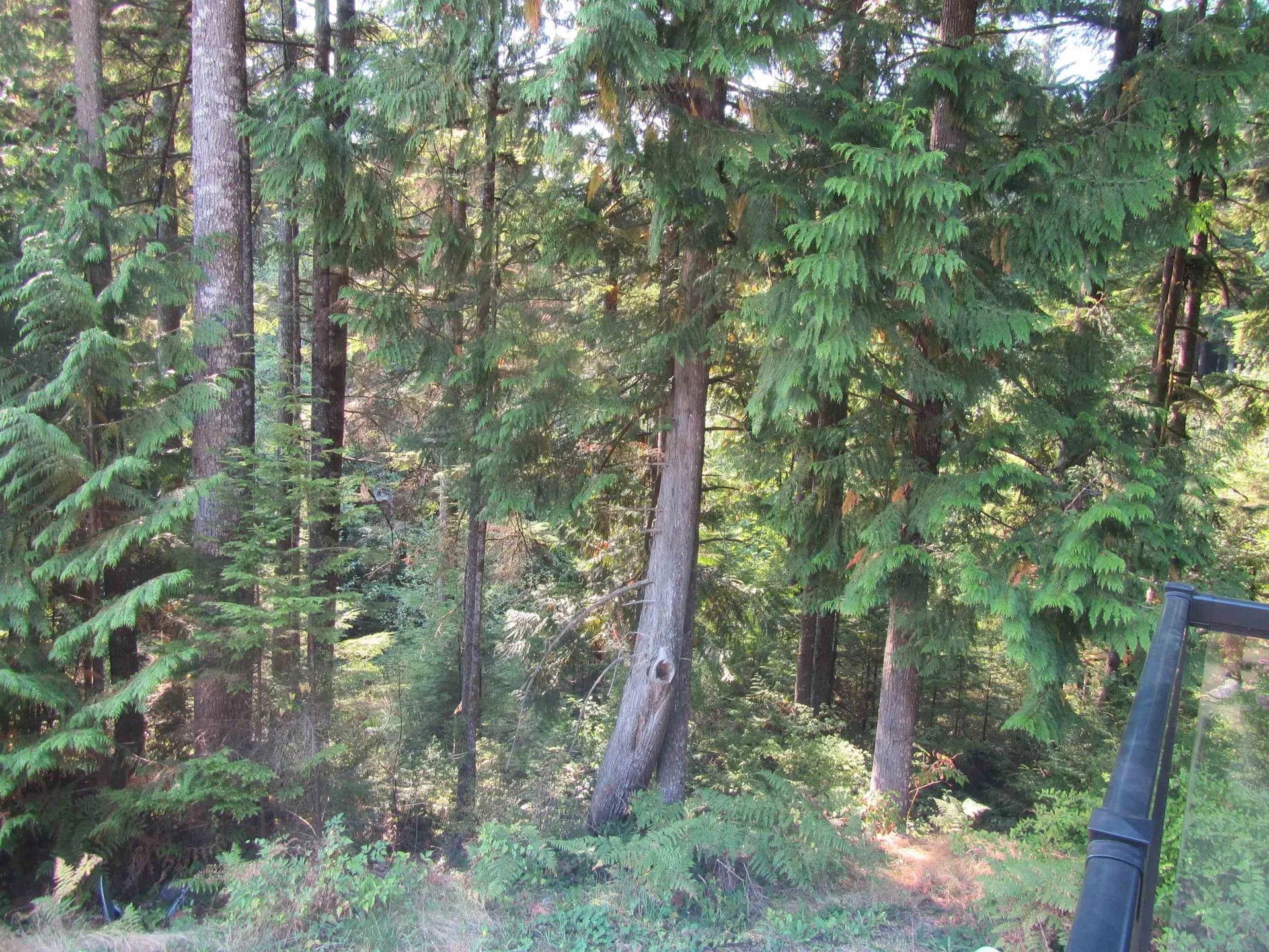 Property at 12293 CARDINAL STREET, Mission, BC