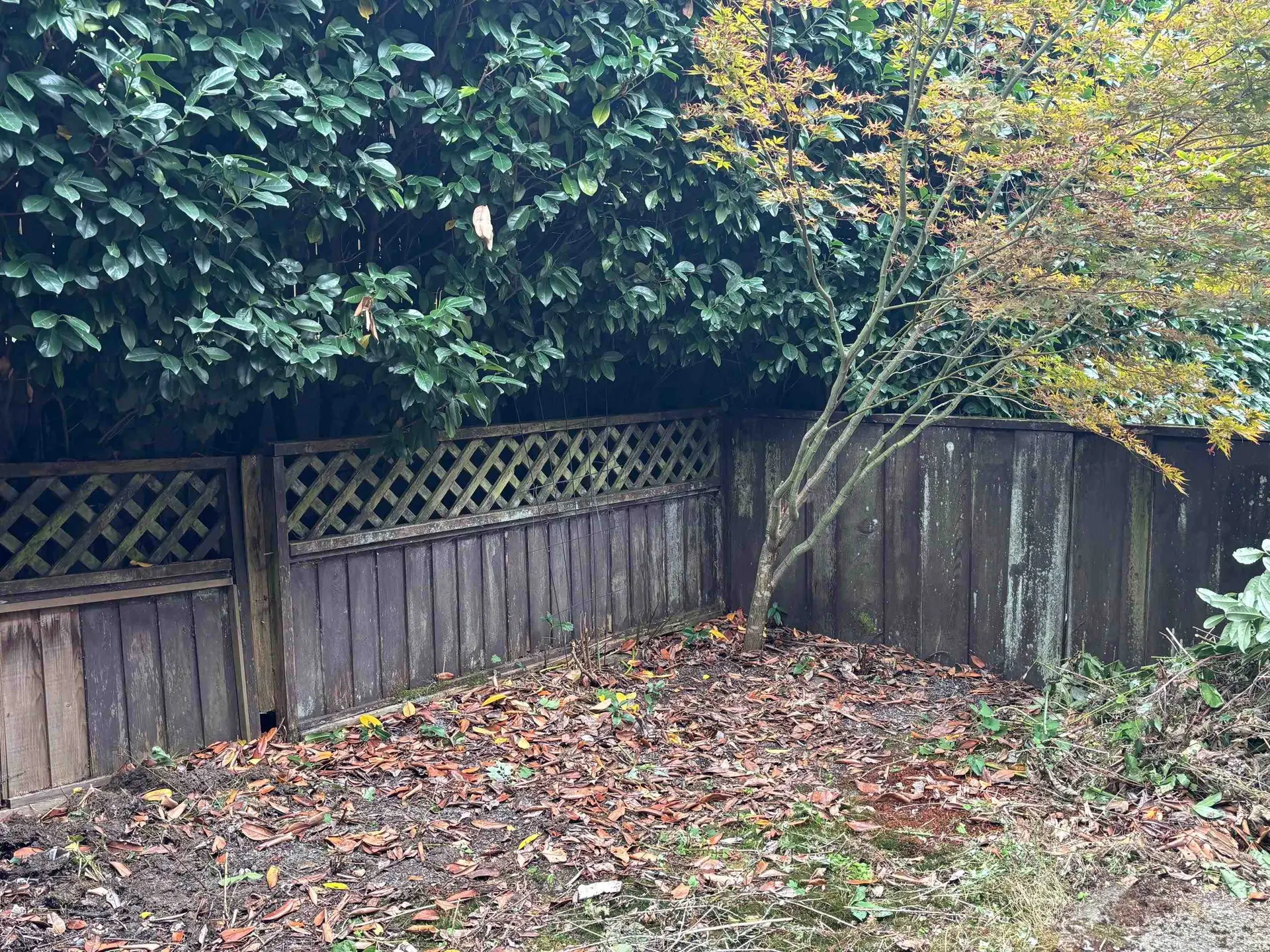 39830 No Name Road - Image 12