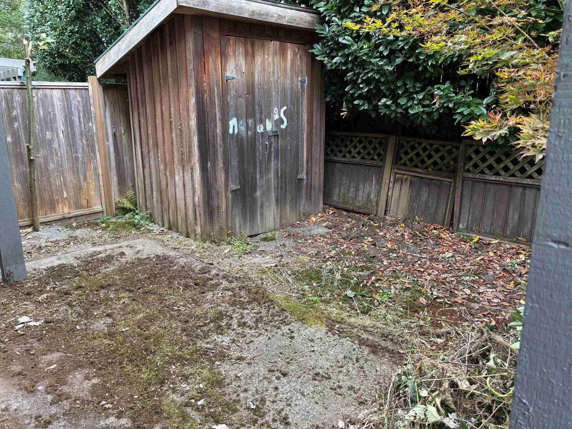 39830 No Name Road - Image 11