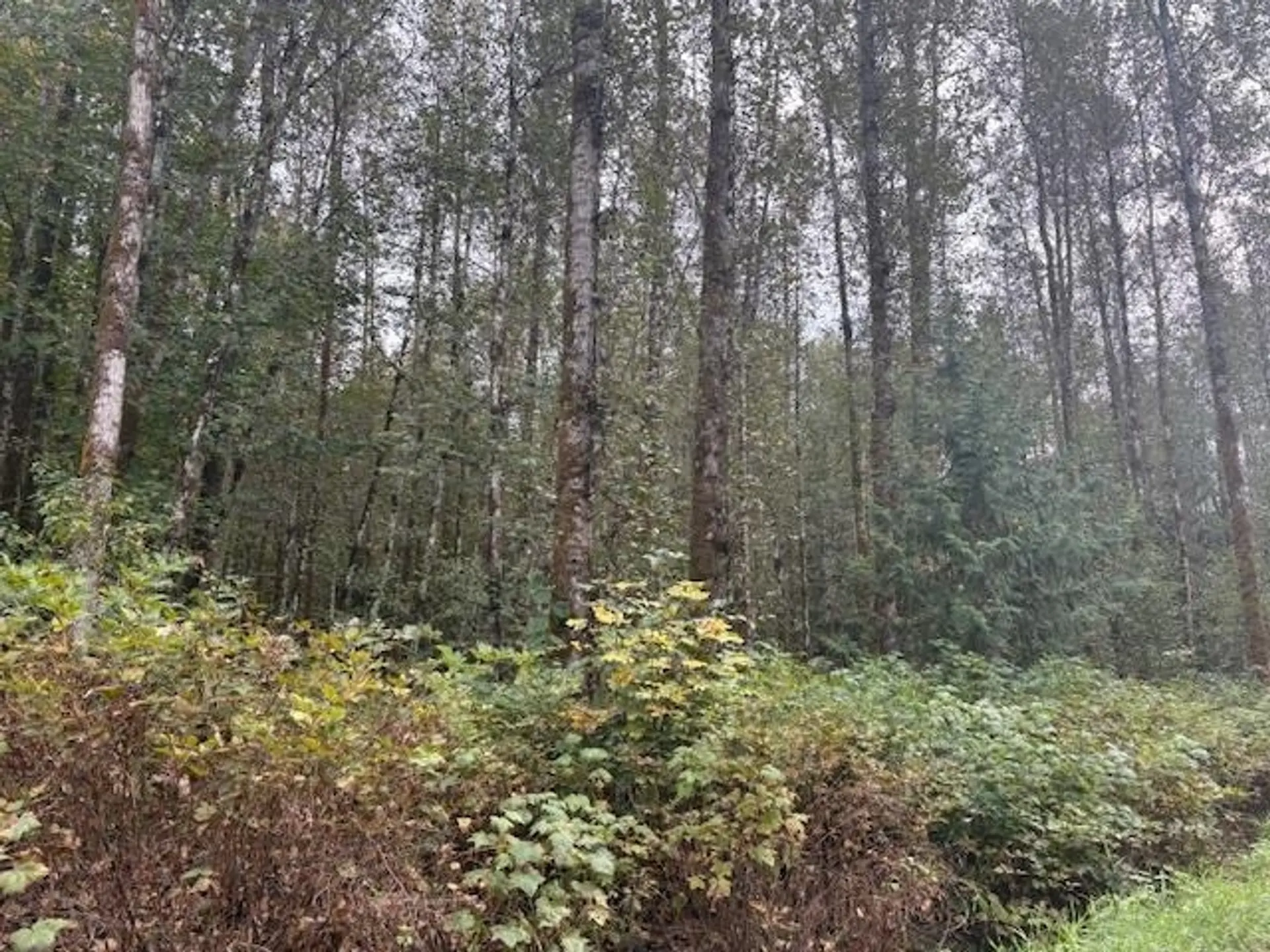 Property at DL990 NW MAGEE ROAD, Squamish, BC