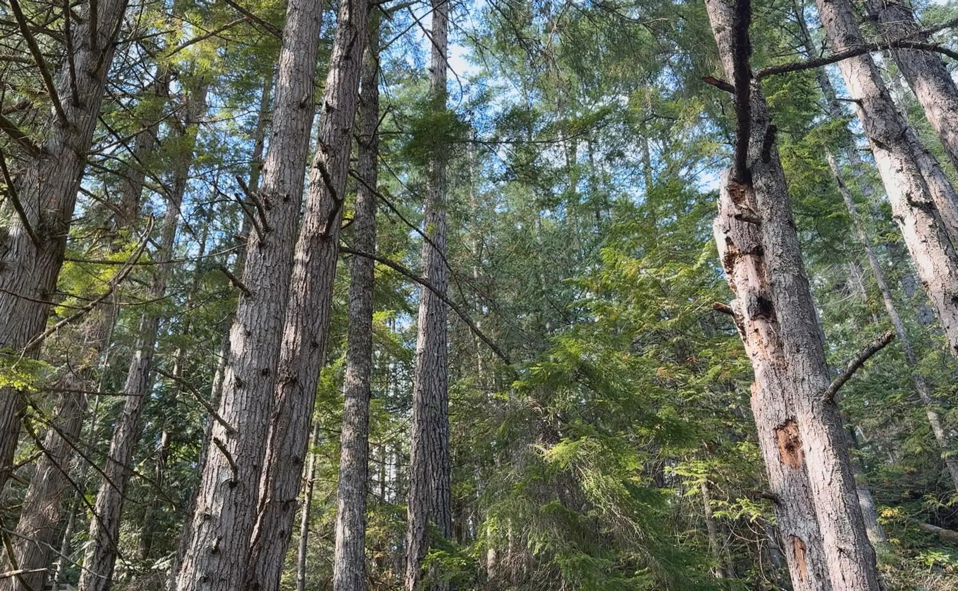 Property at LOT 20 SAKINAW LAKE, Madeira Park, BC