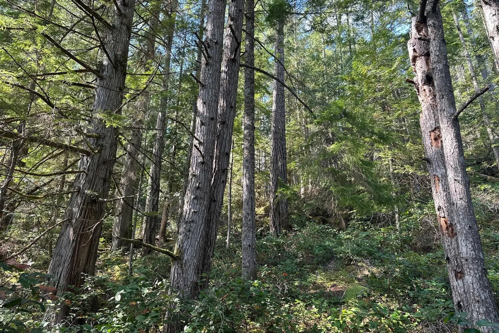 Property at LOT 20 SAKINAW LAKE, Madeira Park, BC