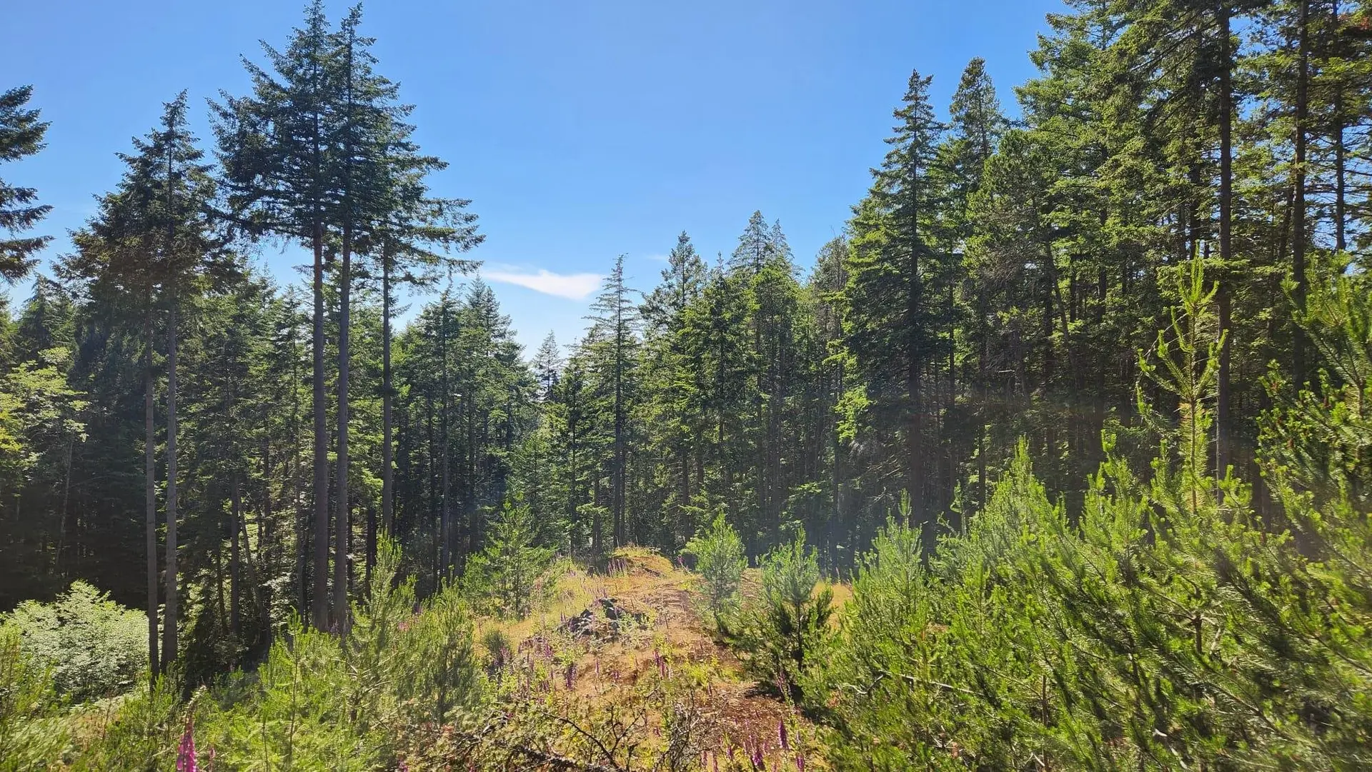 Property at 1765 CAPE DRIVE, Bowen Island, BC