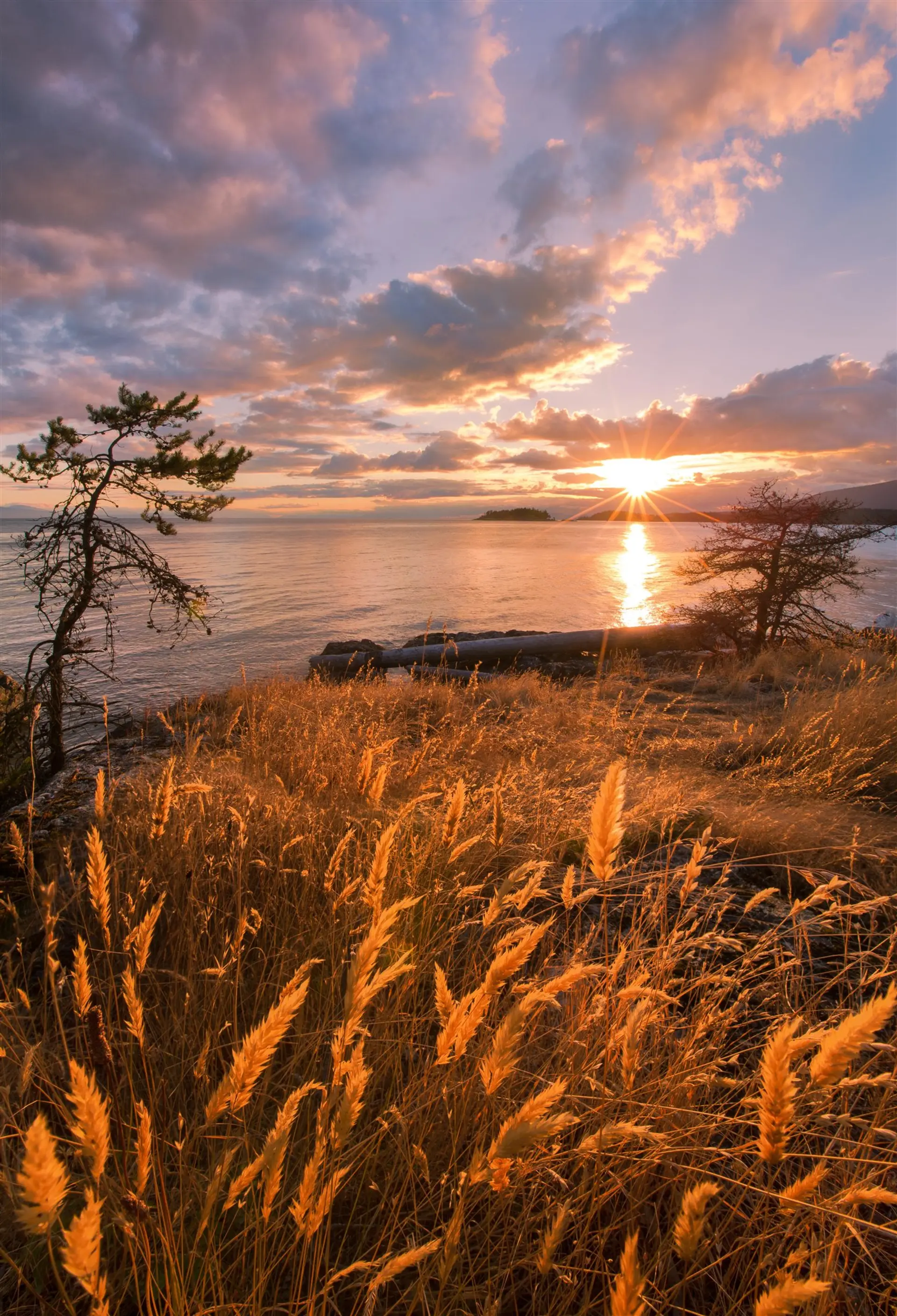 Property at 1765 CAPE DRIVE, Bowen Island, BC