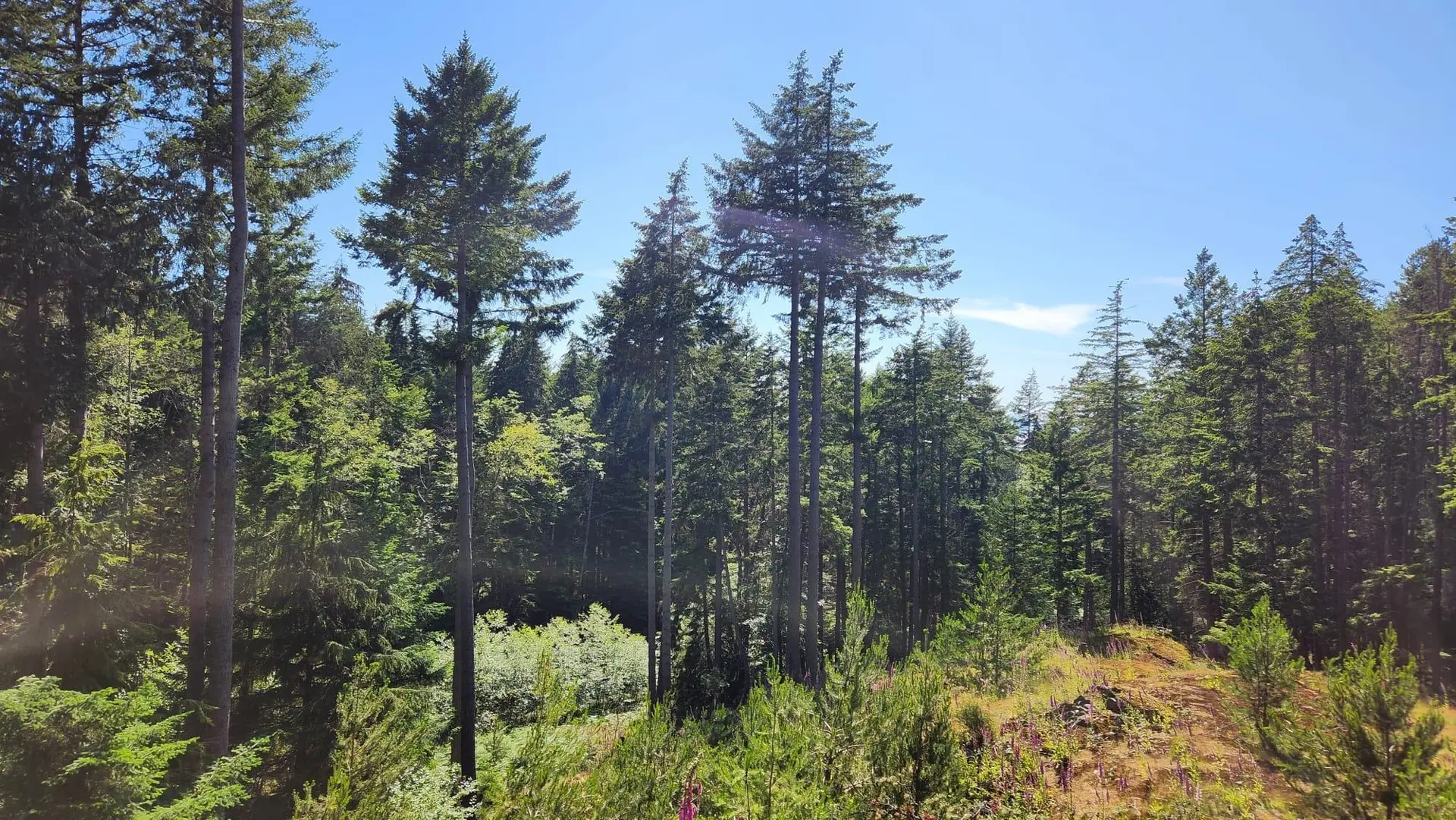 Property at 1765 CAPE DRIVE, Bowen Island, BC