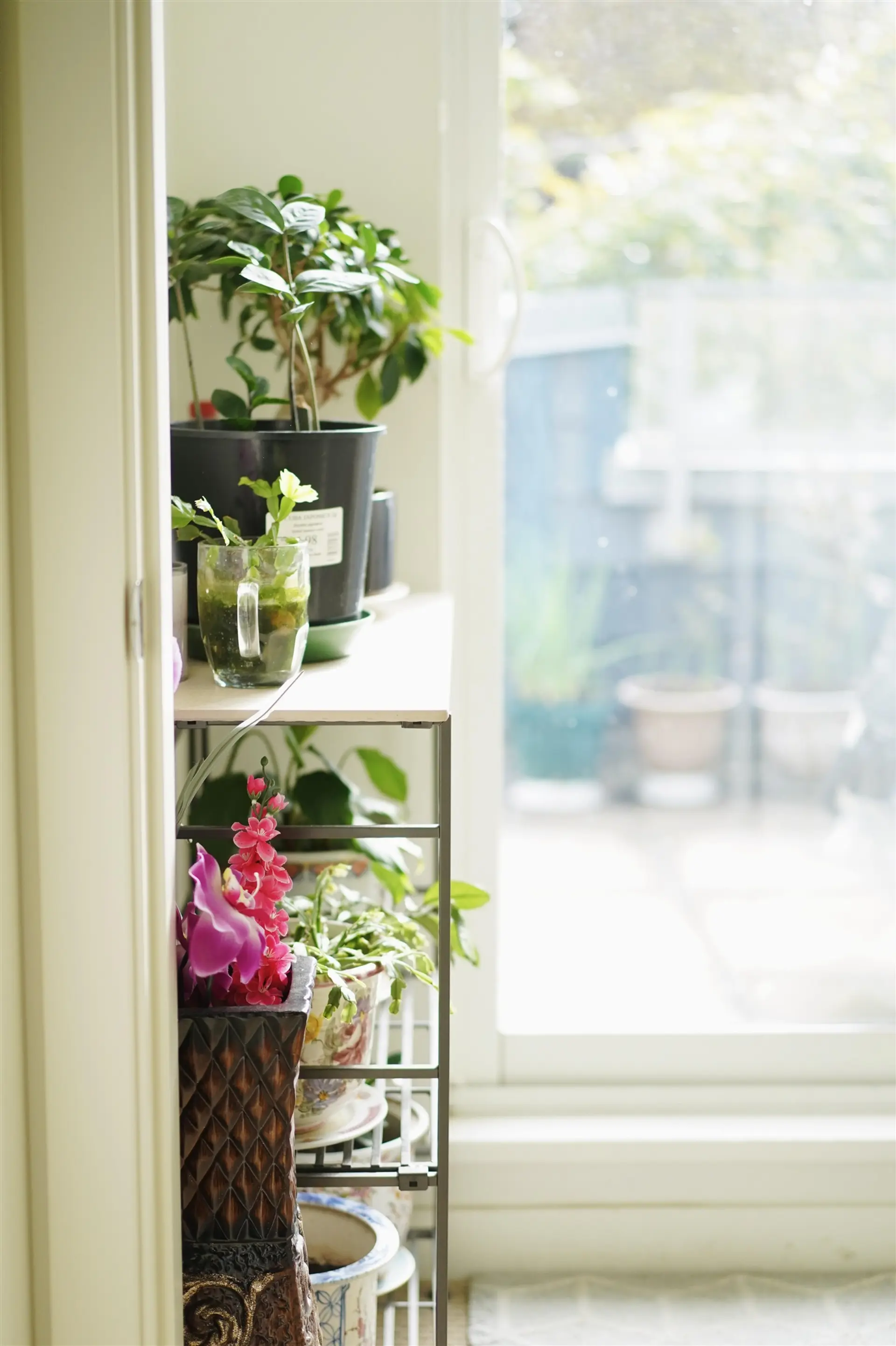 Property at 4886 ELDORADO MEWS, Vancouver, BC