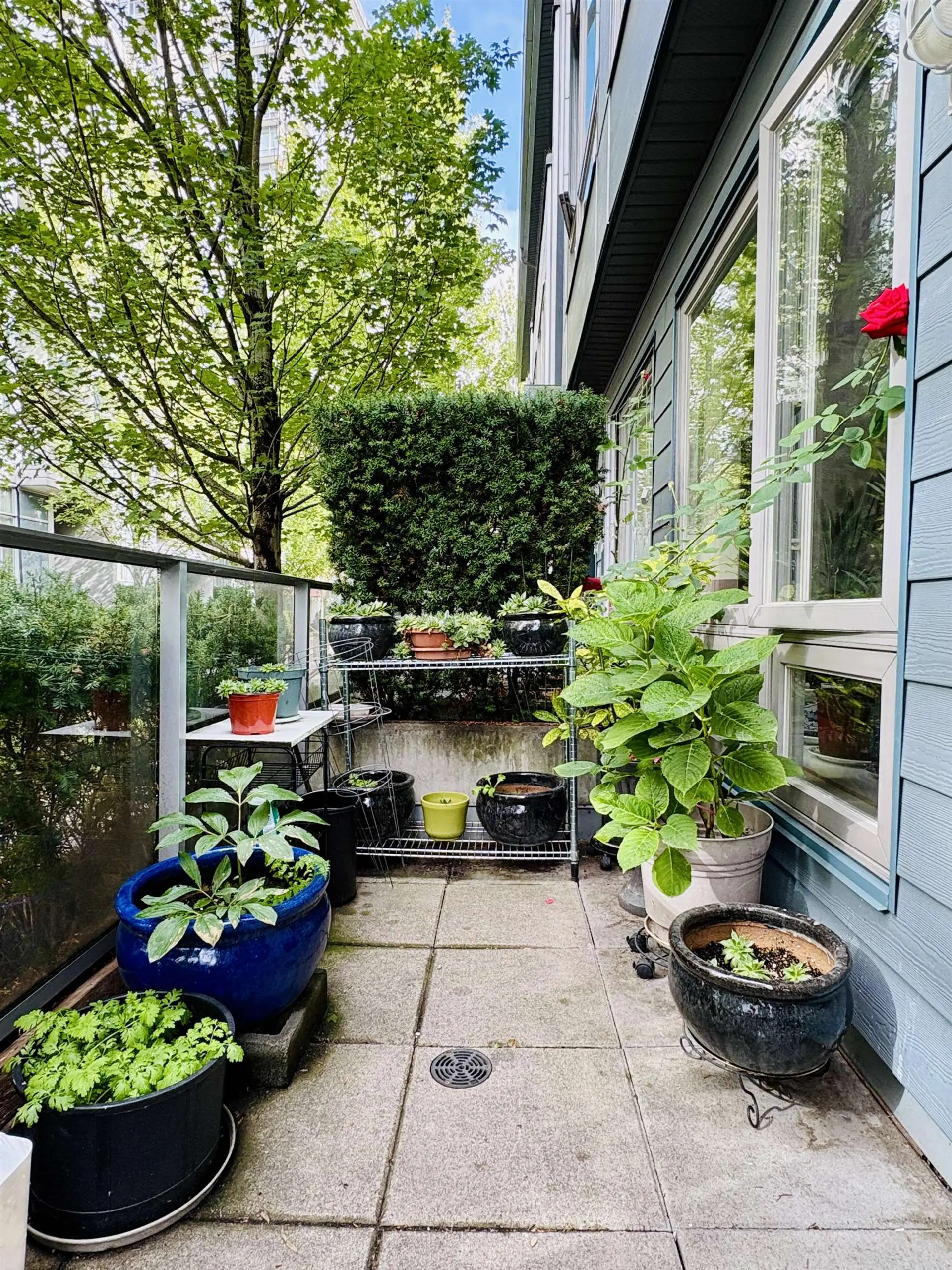 Property at 4886 ELDORADO MEWS, Vancouver, BC