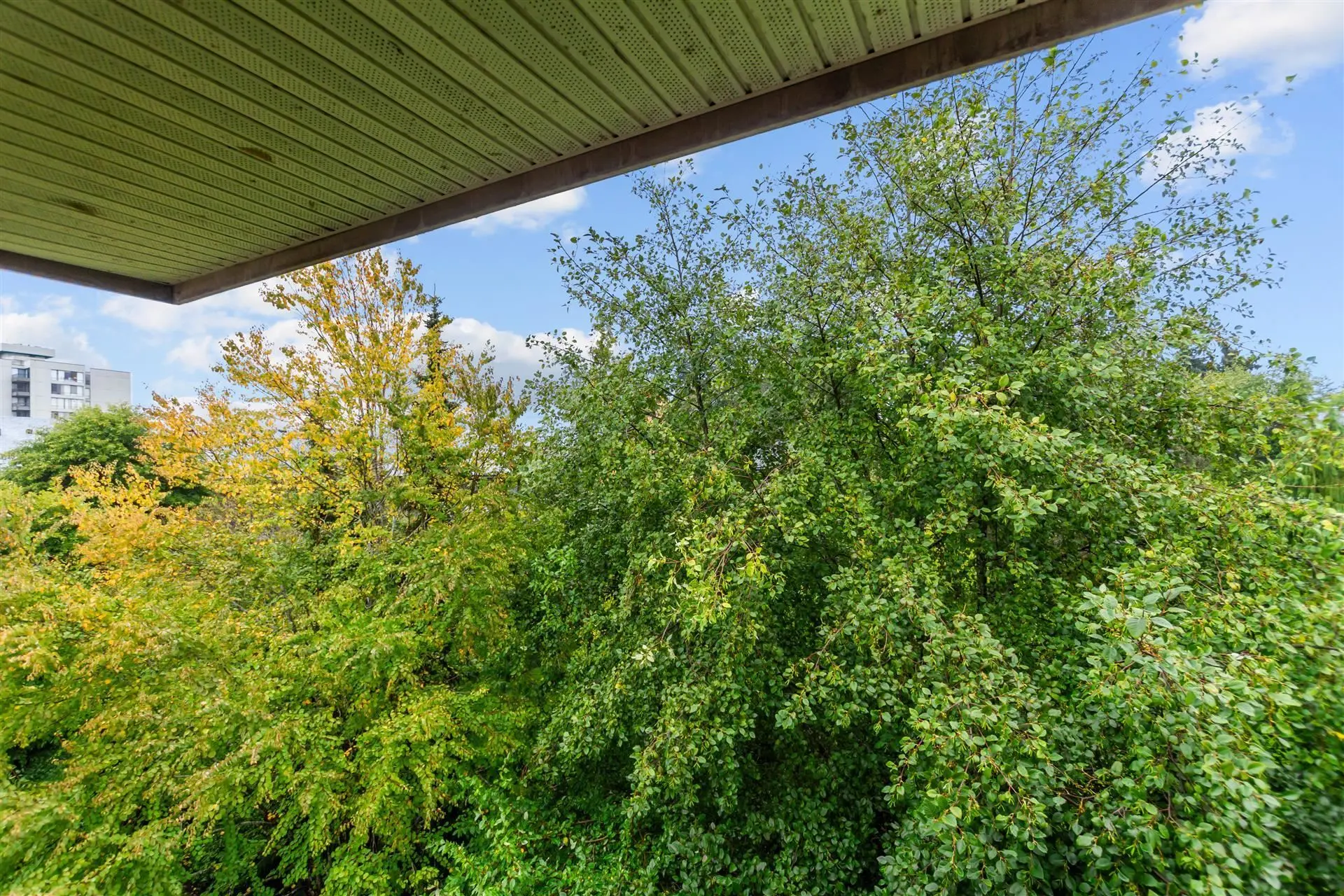 #404 2388 Western Parkway - Image 9