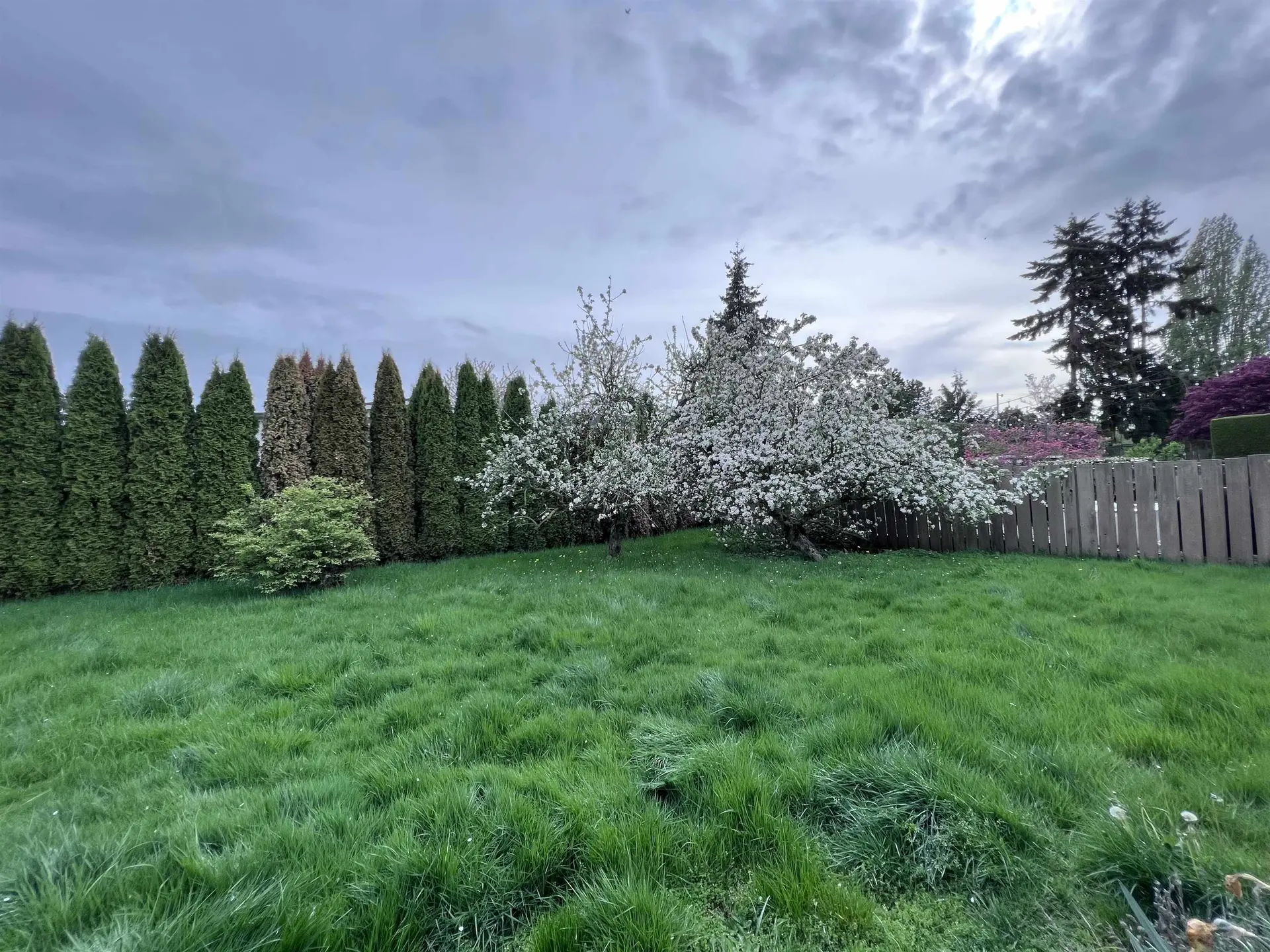 Property at 9600 SWANSEA DRIVE, Richmond, BC