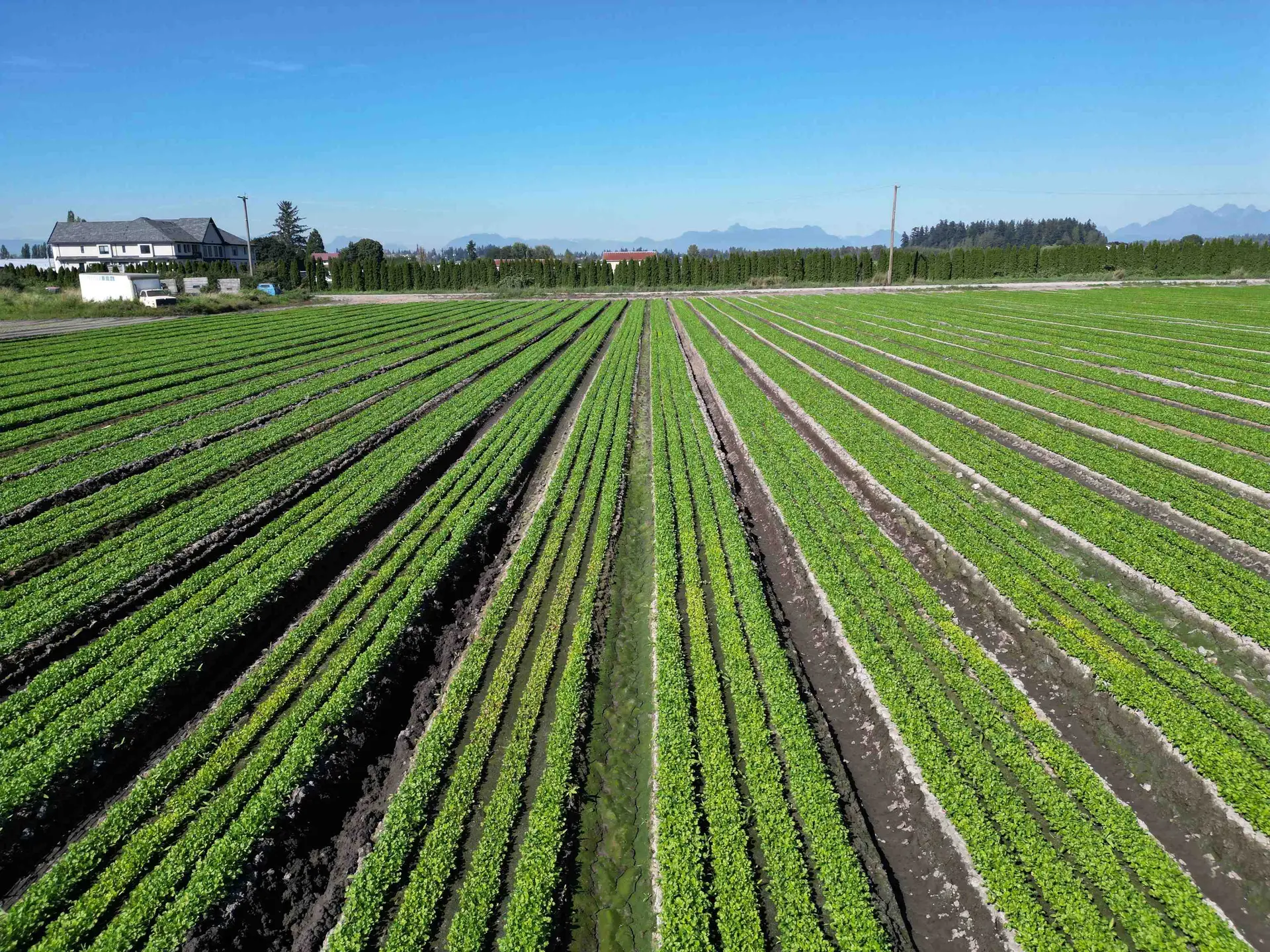 Property at 4444 168 STREET, Surrey, BC