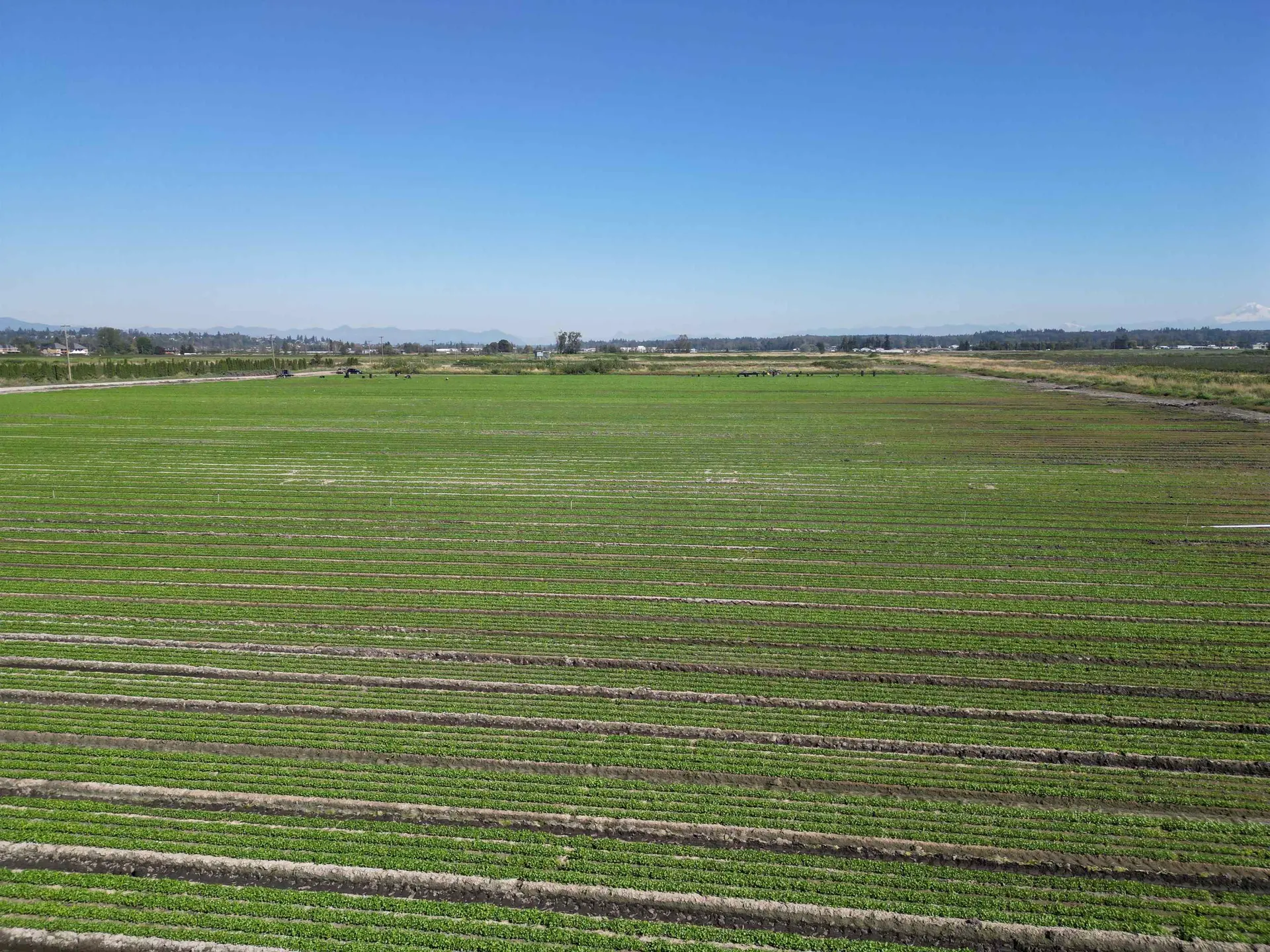 Property at 4444 168 STREET, Surrey, BC