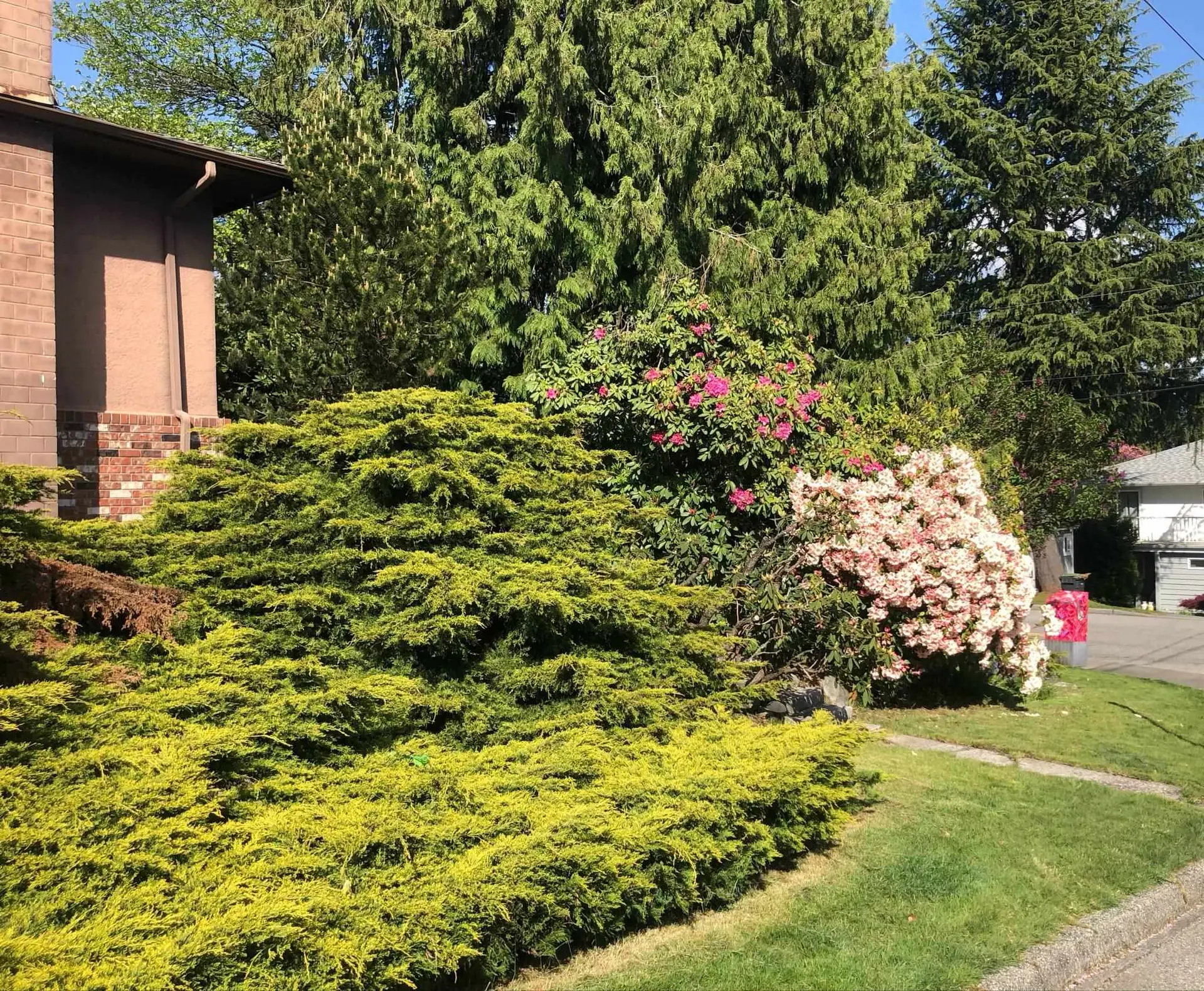 1528 Eastern Drive - Image 4