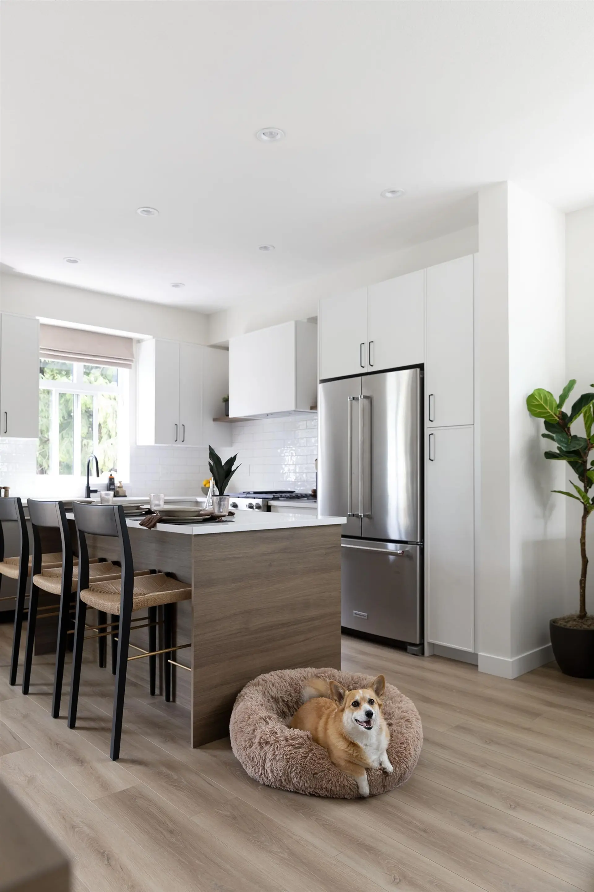 #5 2150 Rindall Avenue - Image 4