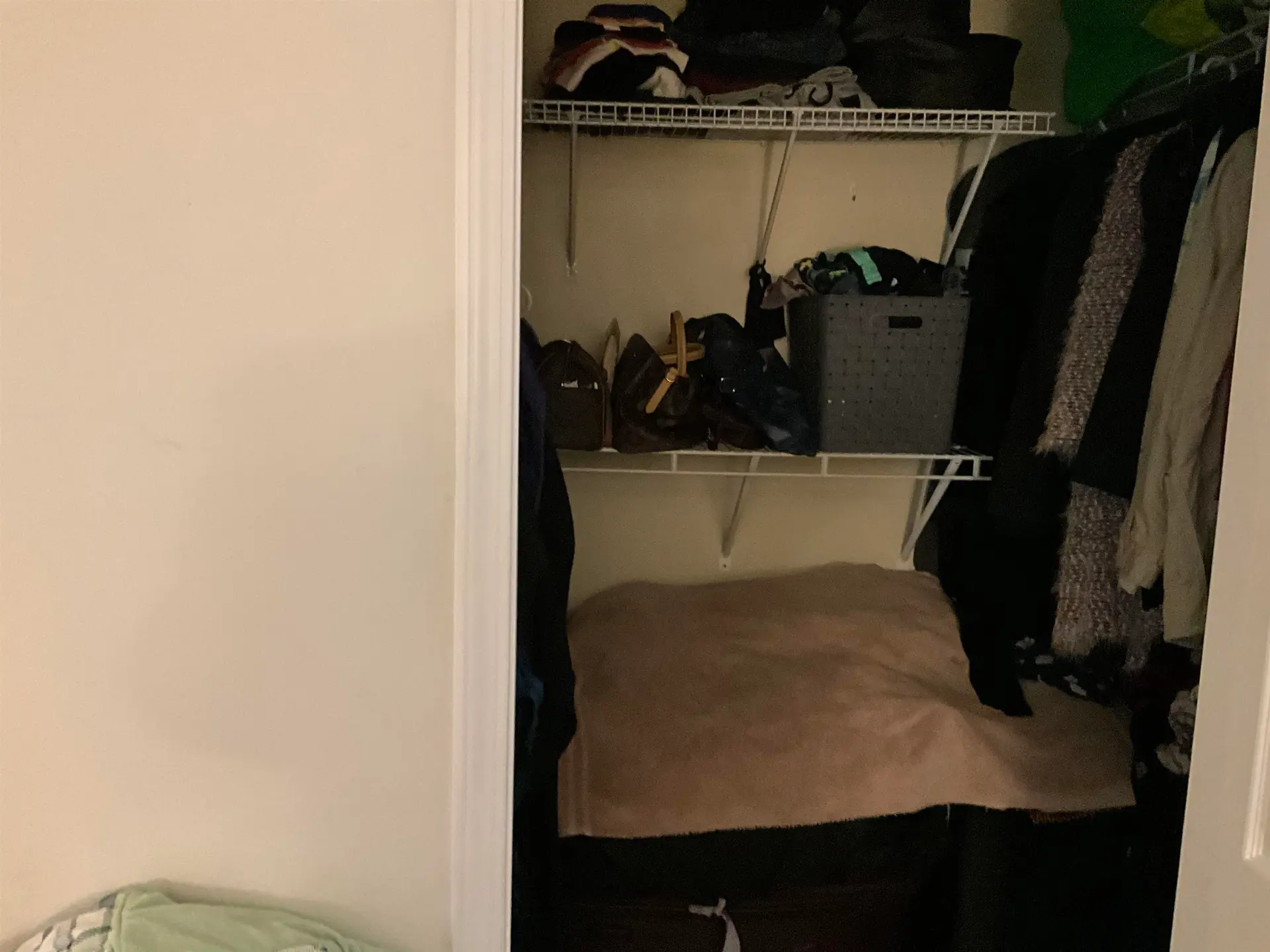 Property at #201 12088 66 AVENUE, Surrey, BC