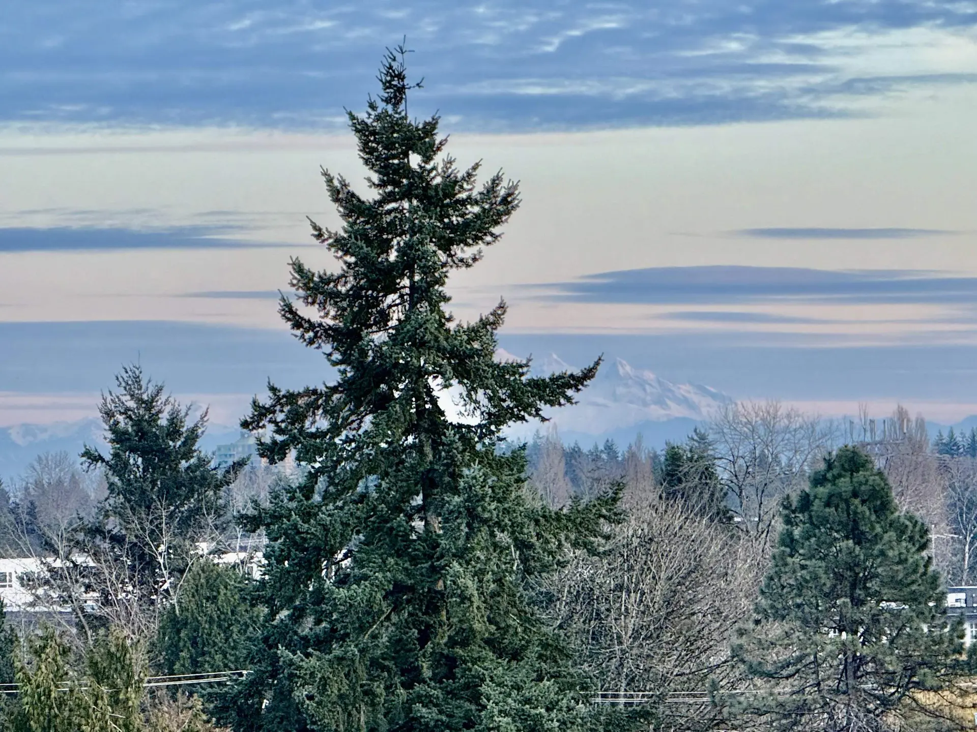 #1103 13675 107a Avenue - Image 16