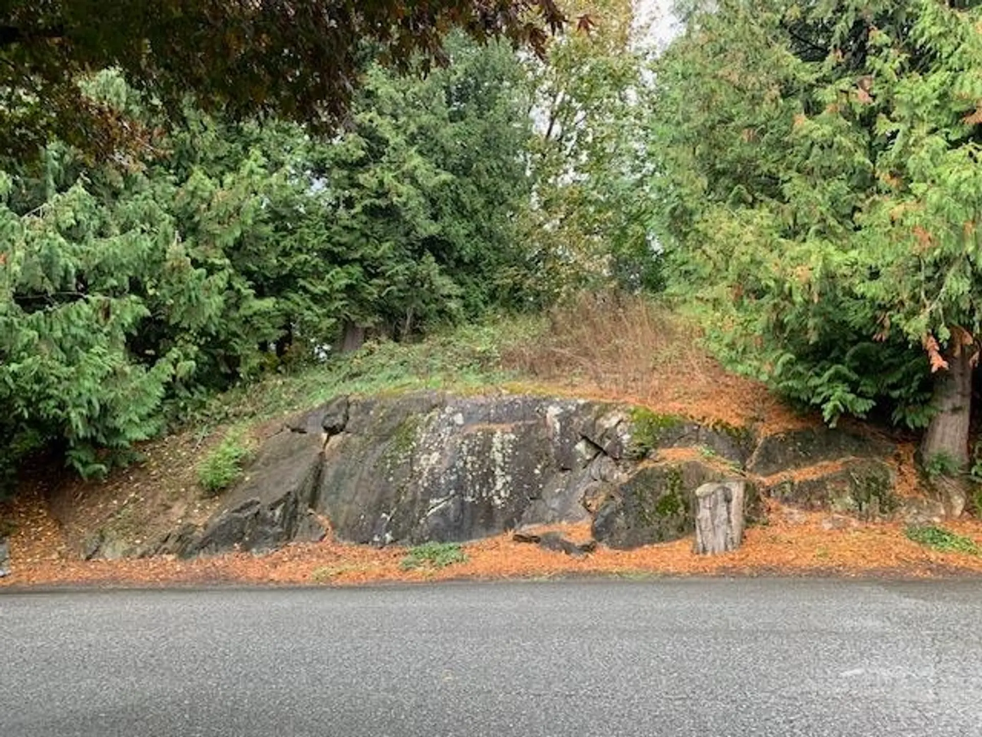 Property at 10035 TIMBERLINE PLACE, Chilliwack, BC