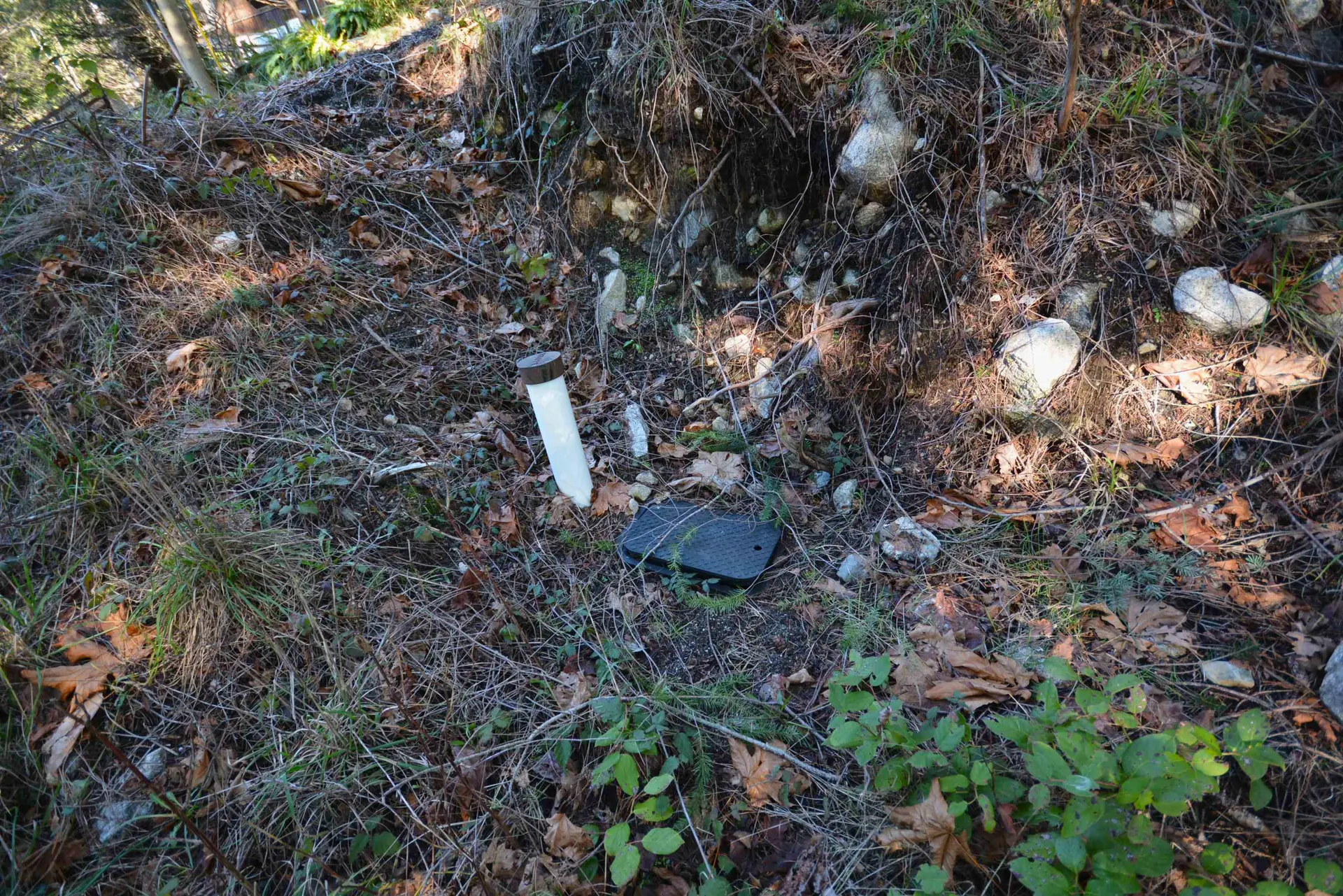 Property at 4365 FRANCIS PENINSULA ROAD, Madeira Park, BC