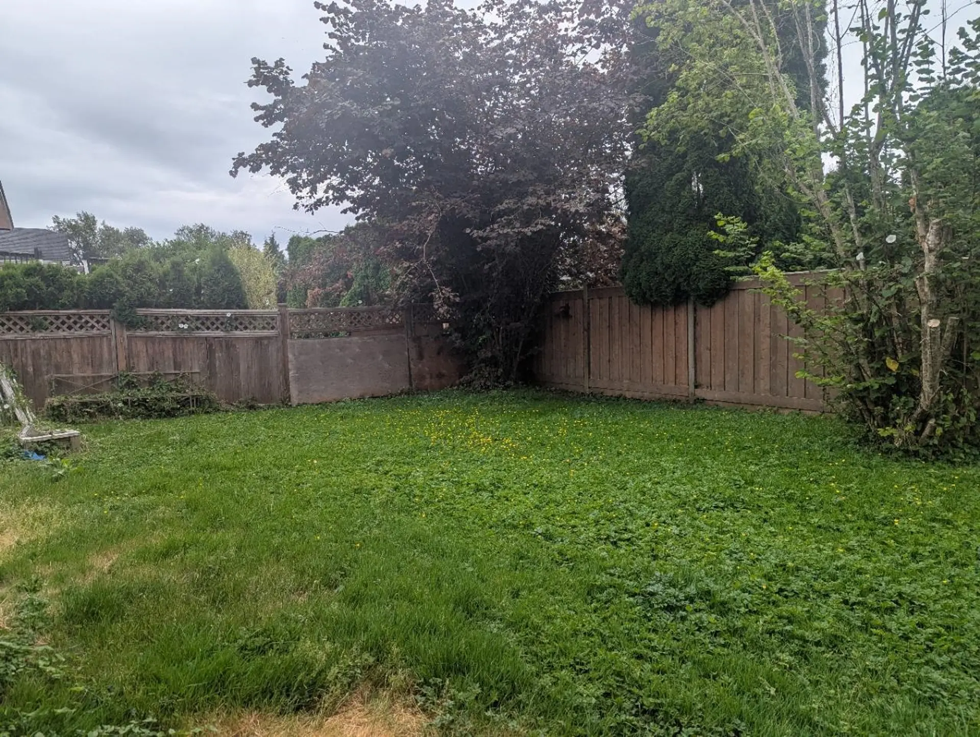 22964 Reid Avenue - Image 13