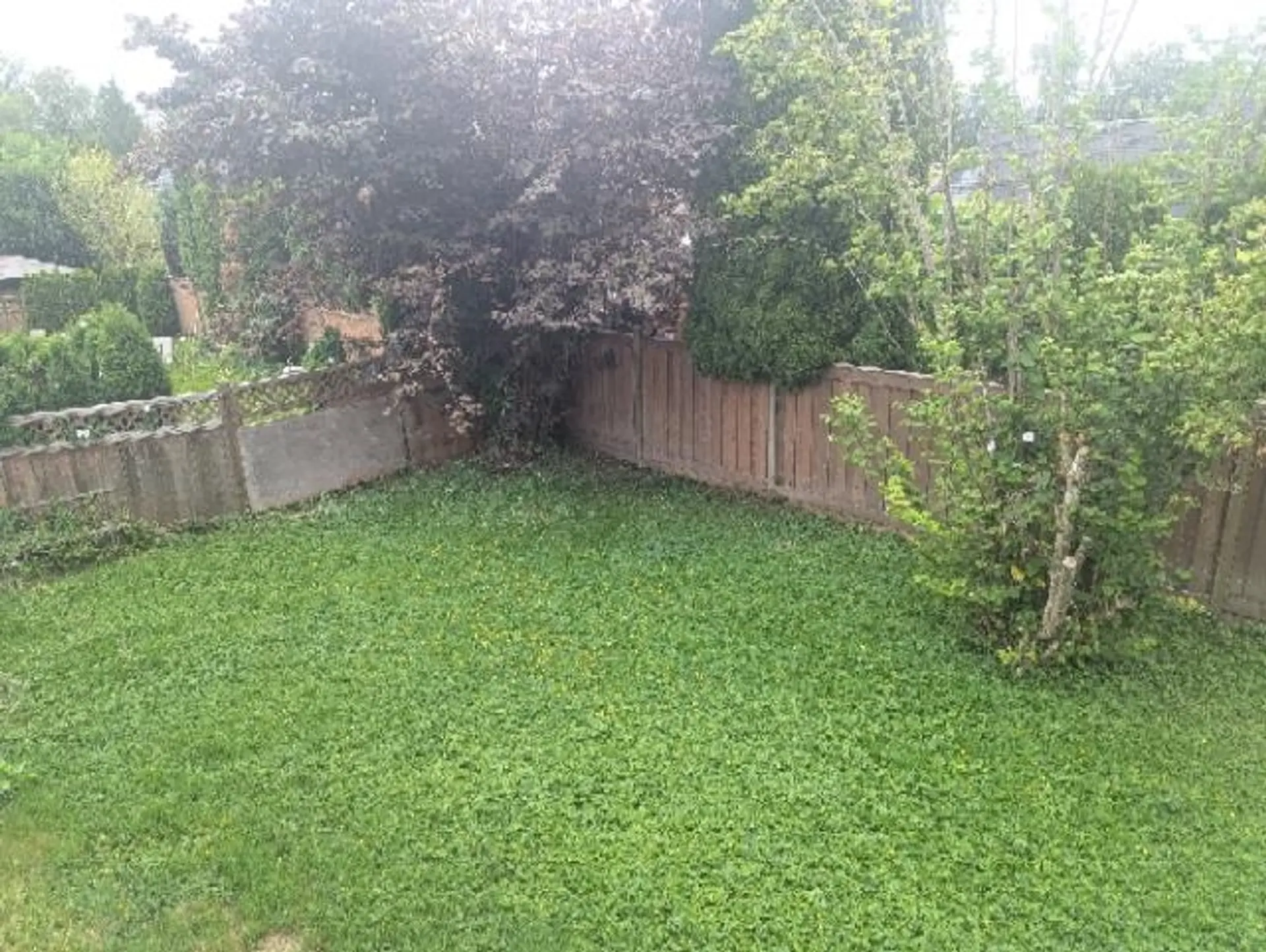 22964 Reid Avenue - Image 14