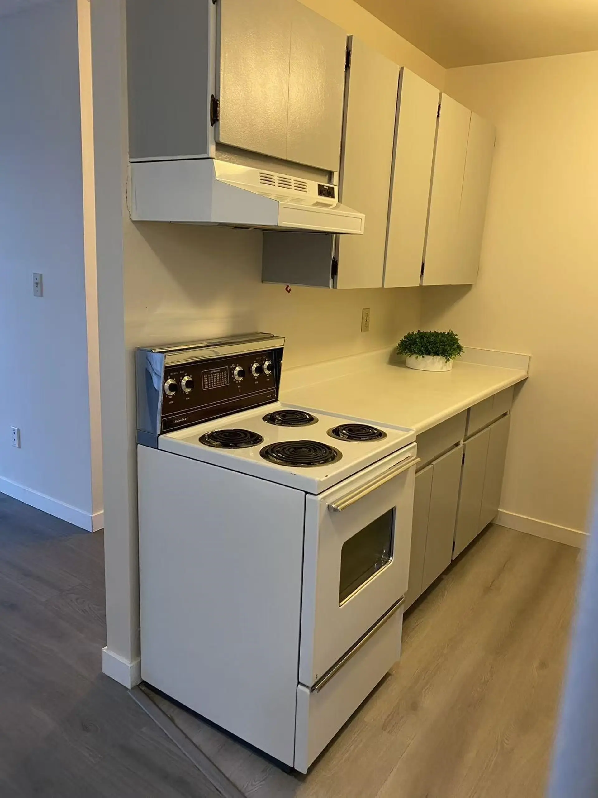 Property at #308 7280 LINDSAY ROAD, Richmond, BC