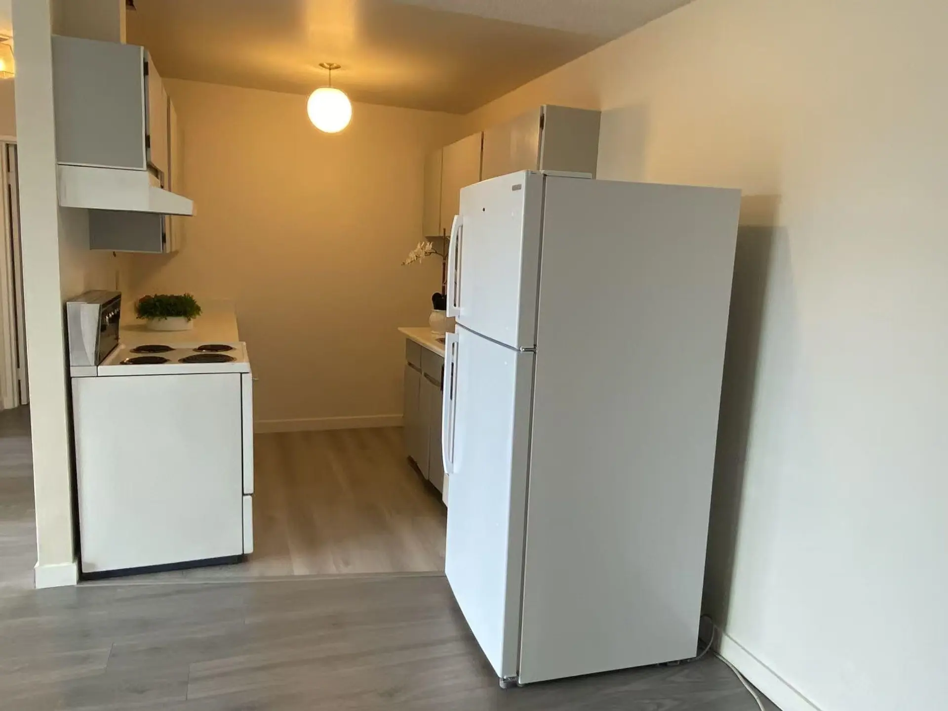 Property at #308 7280 LINDSAY ROAD, Richmond, BC