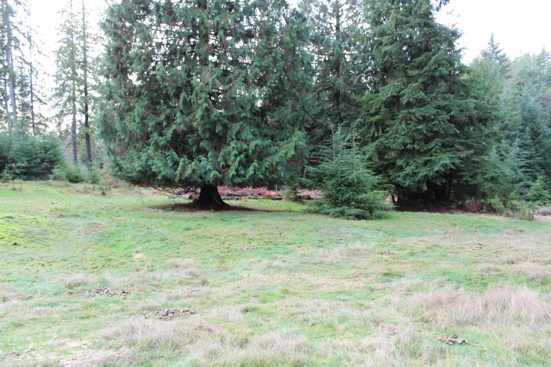 Property at LOT 9 MOUNTAIN ROAD, Gambier Island, BC