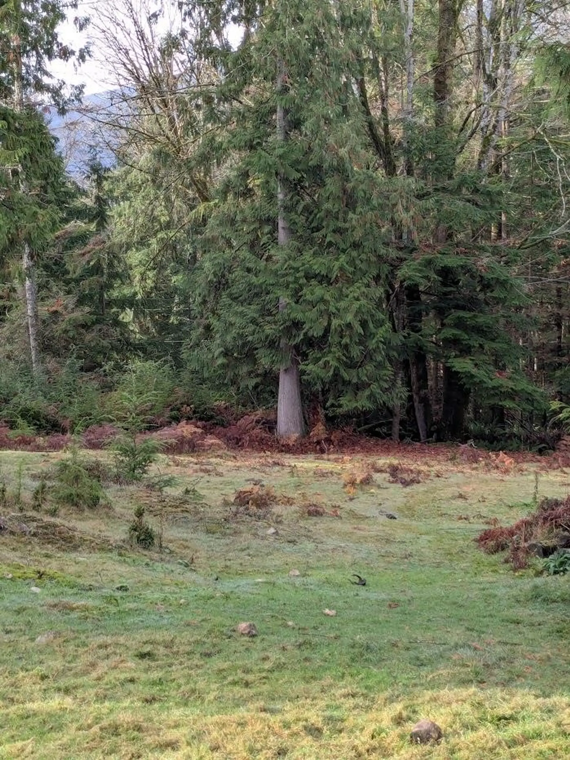 Property at LOT 9 MOUNTAIN ROAD, Gambier Island, BC