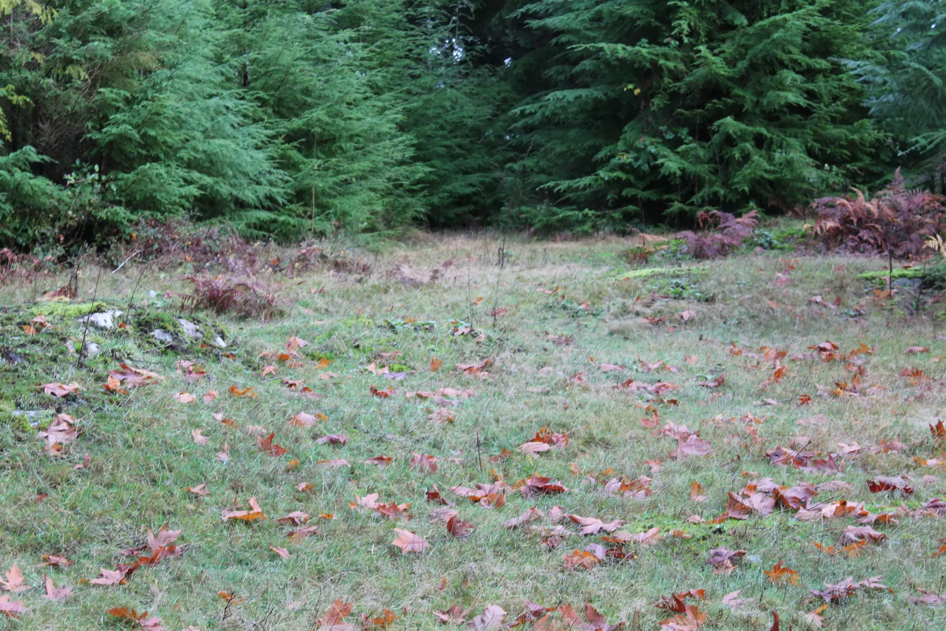 Property at LOT 9 MOUNTAIN ROAD, Gambier Island, BC