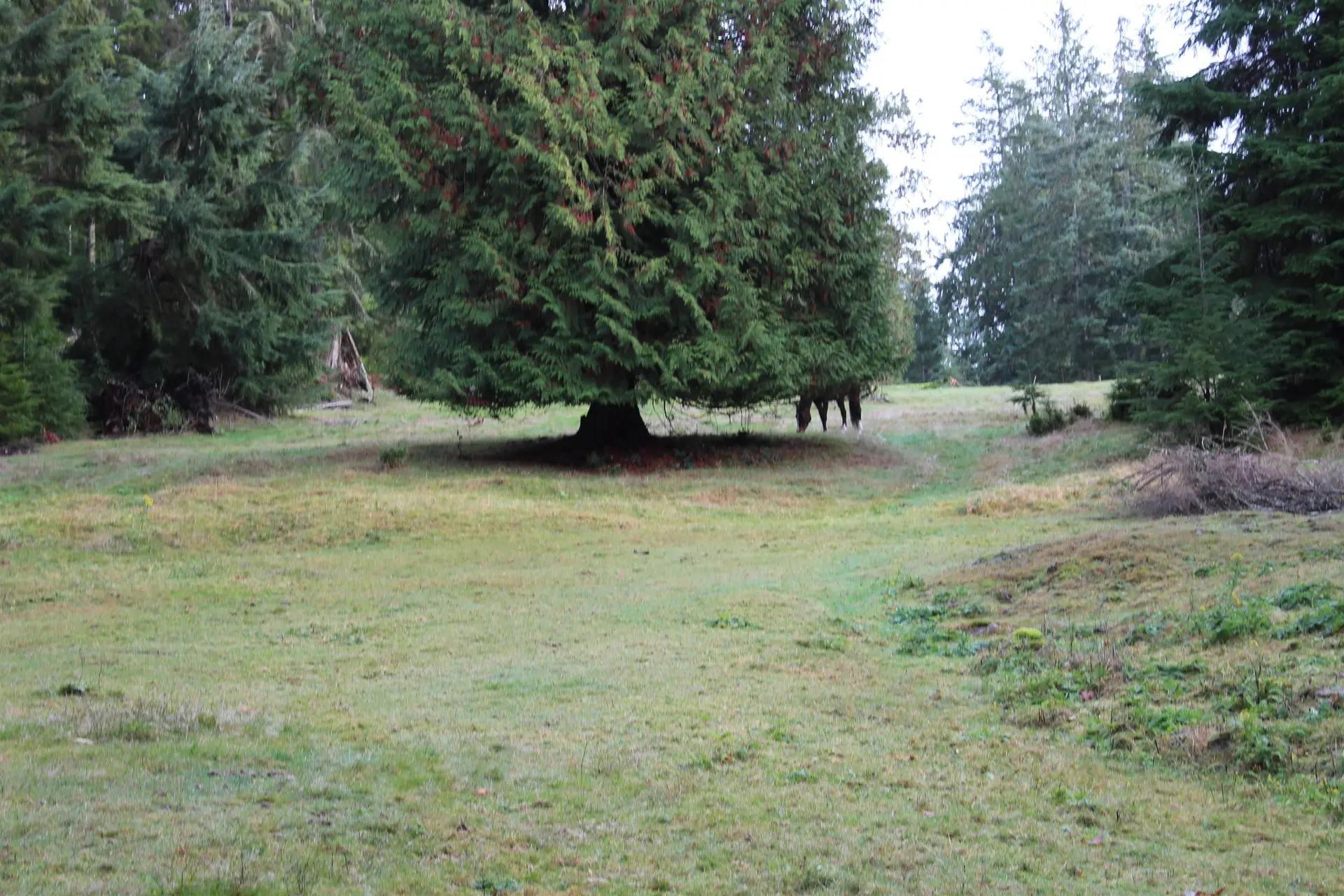 Property at LOT 9 MOUNTAIN ROAD, Gambier Island, BC