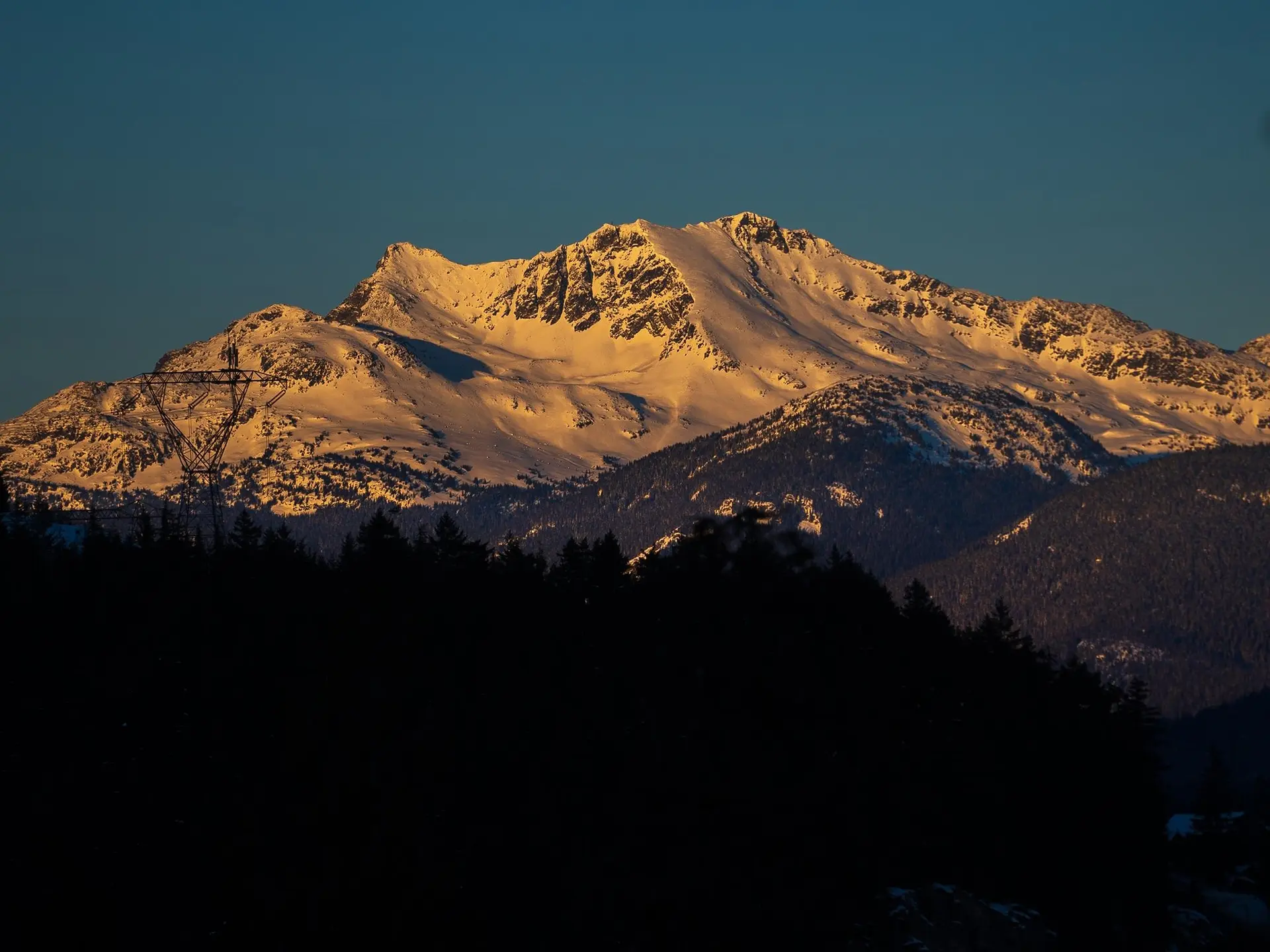 Property at 1625 SOUTHLANDS LANE, Whistler, BC