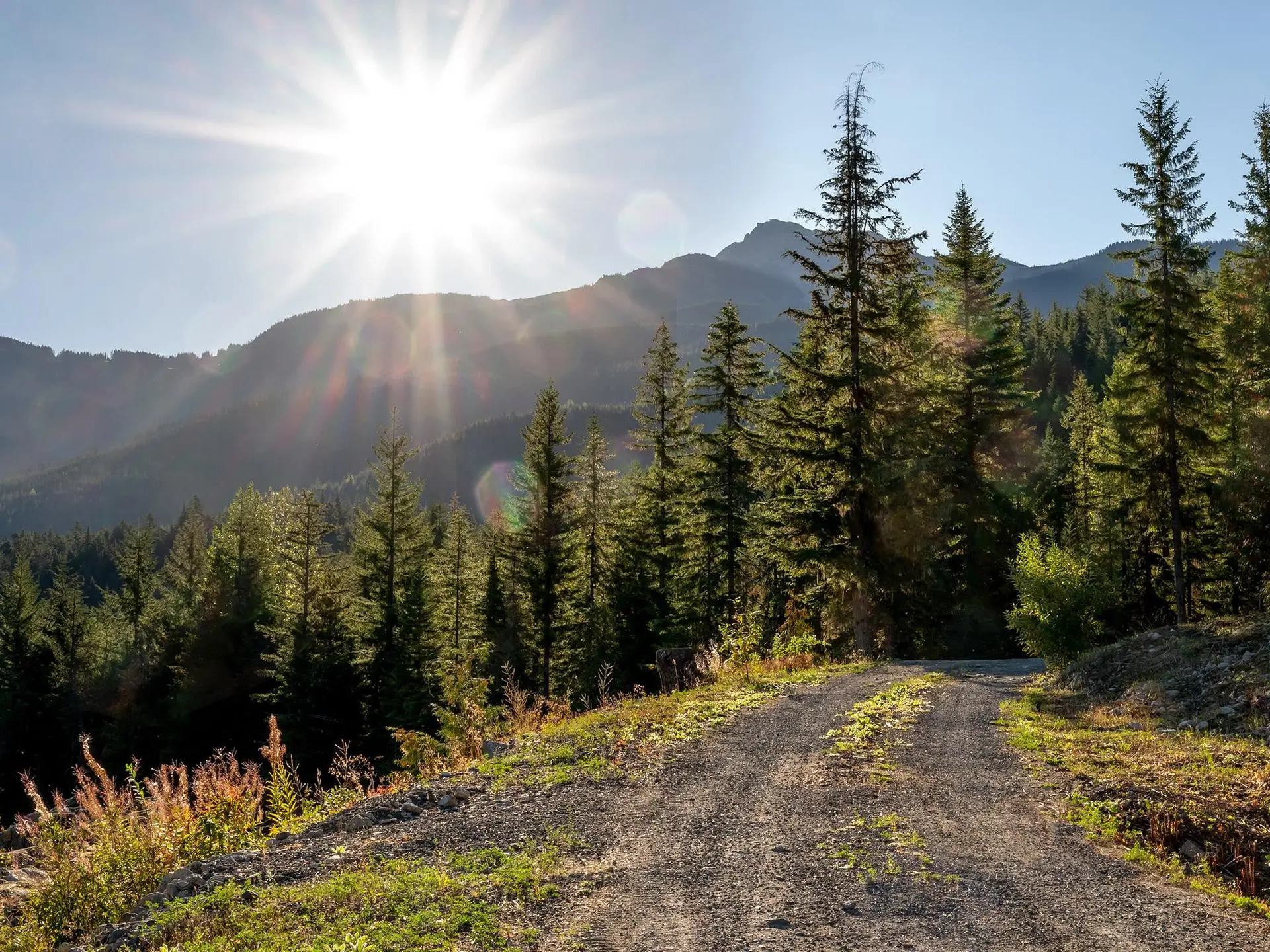 Property at 1625 SOUTHLANDS LANE, Whistler, BC