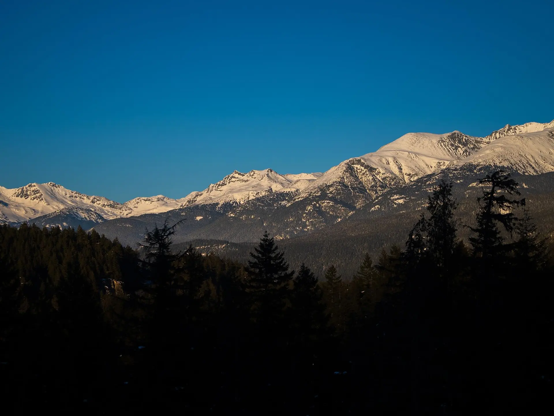 Property at 1625 SOUTHLANDS LANE, Whistler, BC