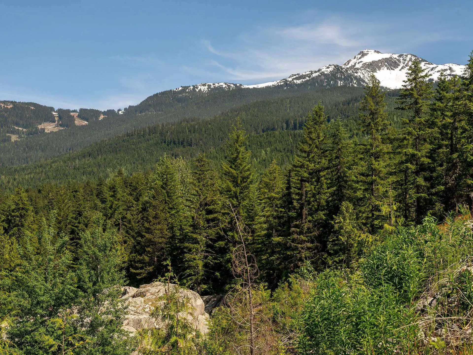 Property at 1625 SOUTHLANDS LANE, Whistler, BC