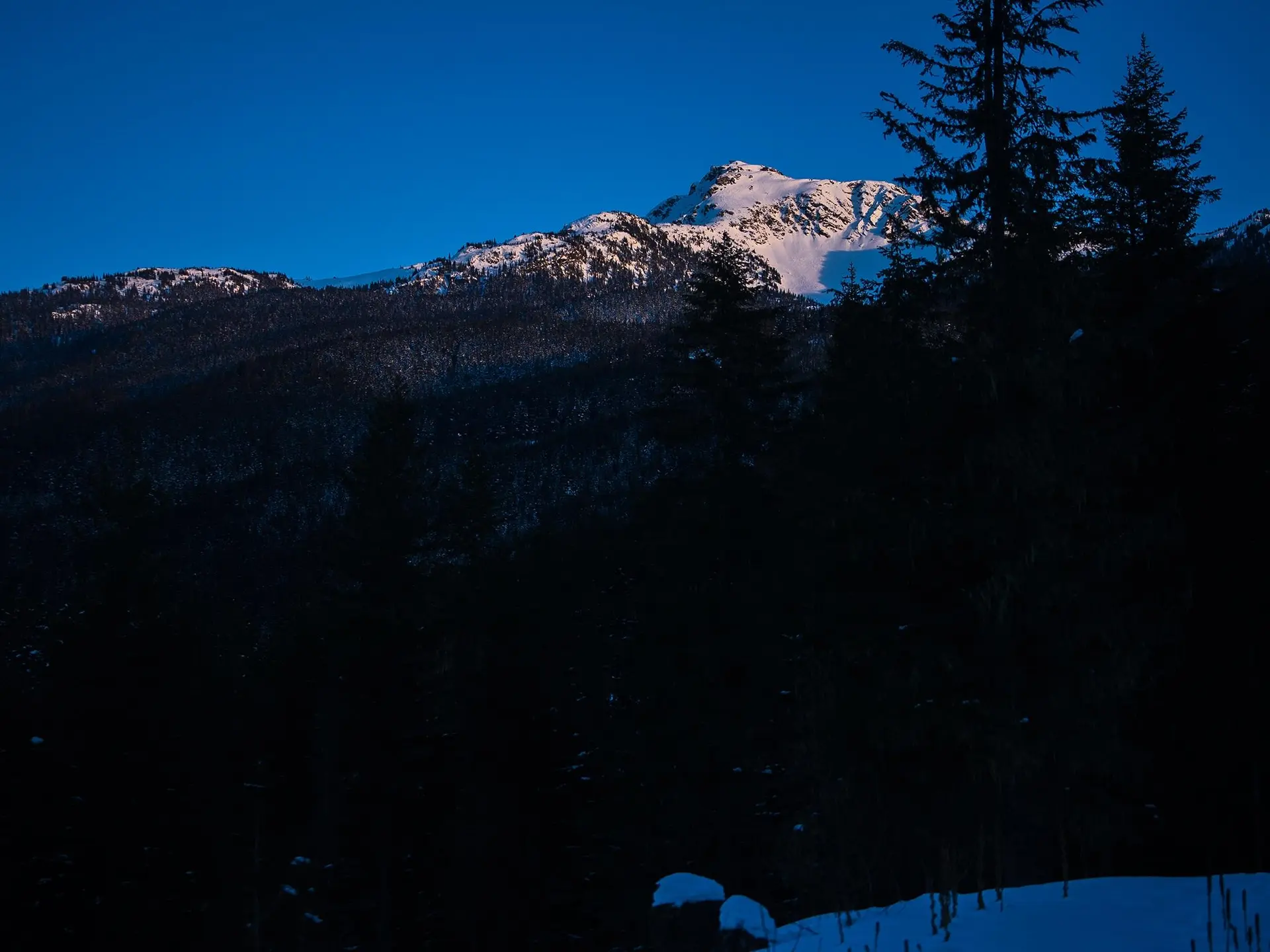 Property at 1625 SOUTHLANDS LANE, Whistler, BC