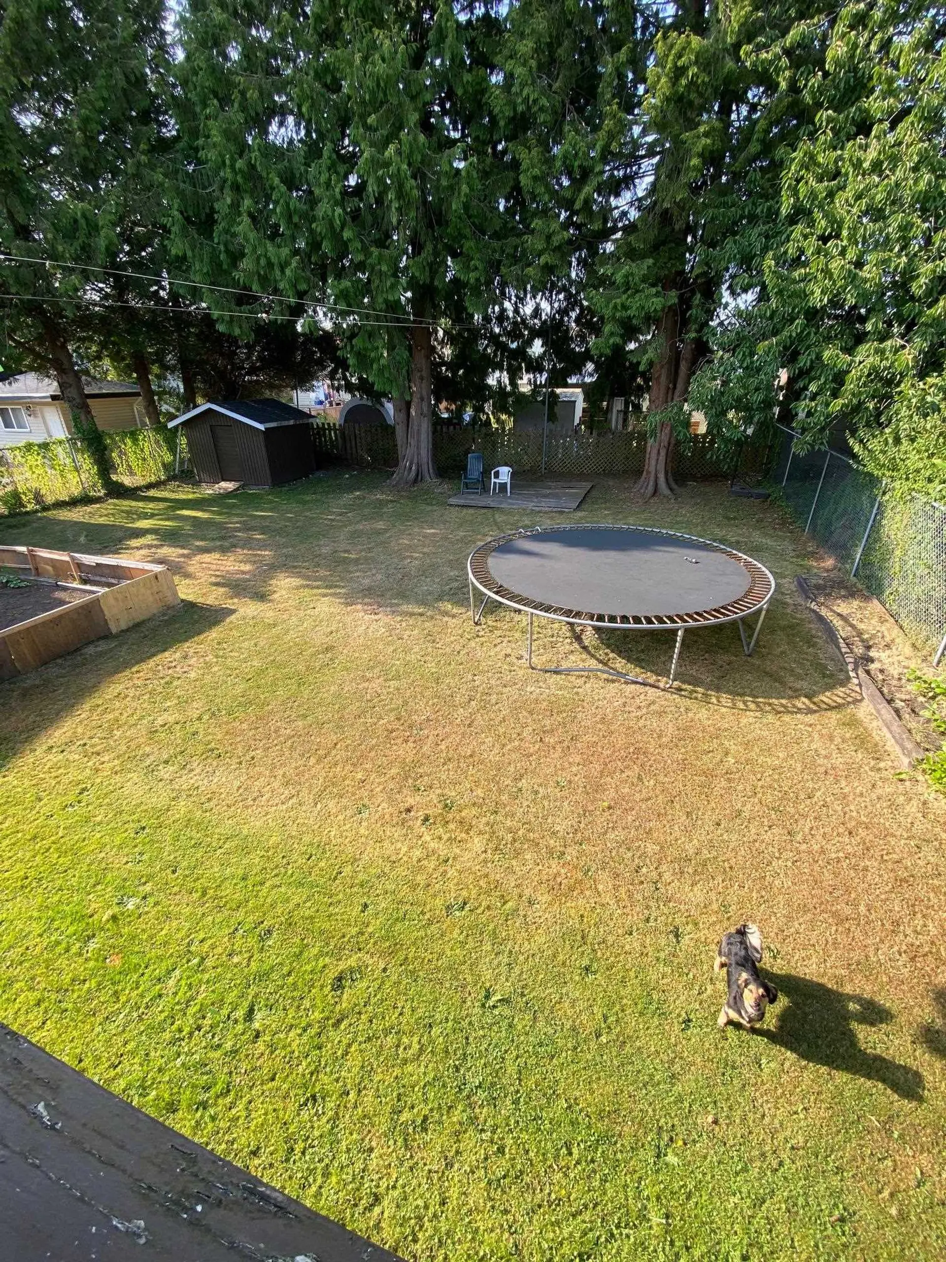 11525 81a Avenue - Image 14