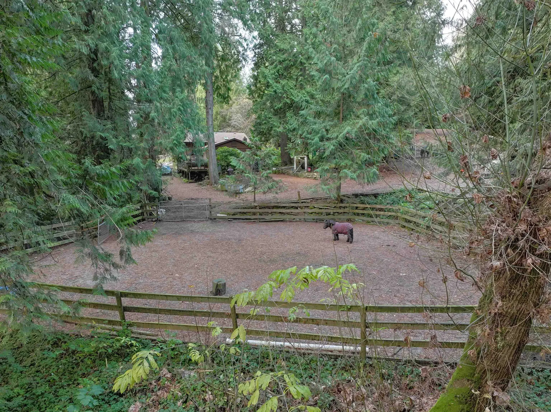 Property at 14042 232 STREET, Maple Ridge, BC