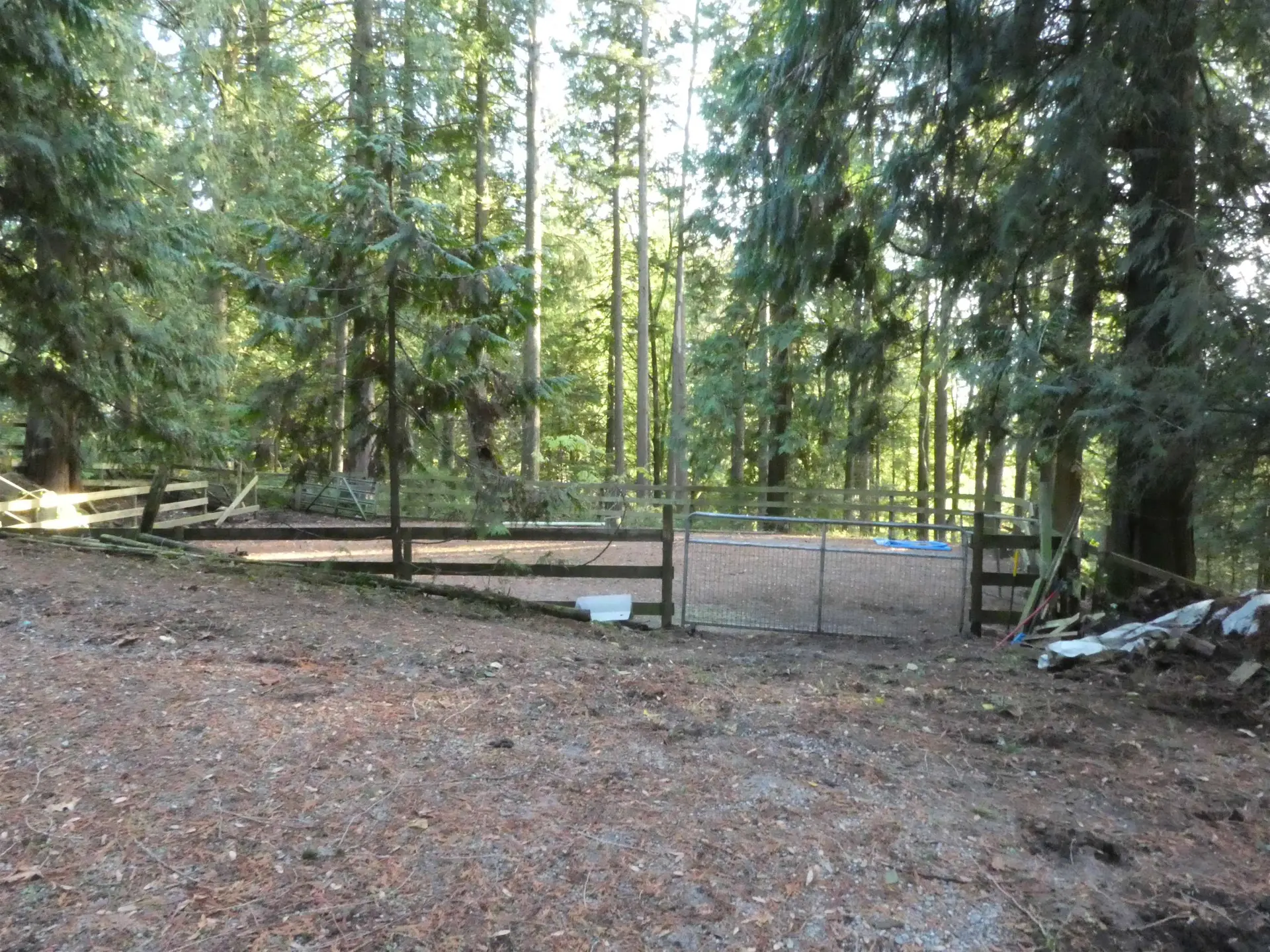 Property at 14042 232 STREET, Maple Ridge, BC