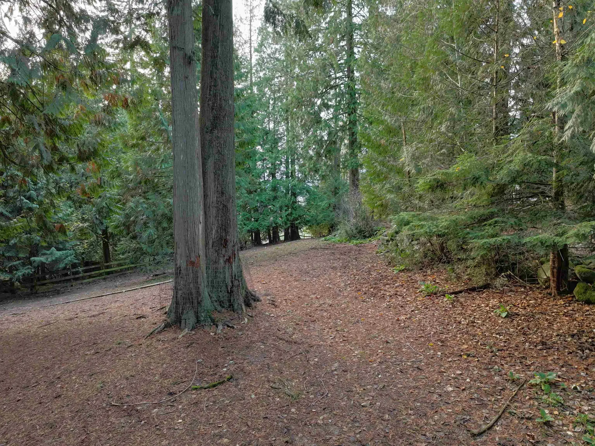 Property at 14042 232 STREET, Maple Ridge, BC