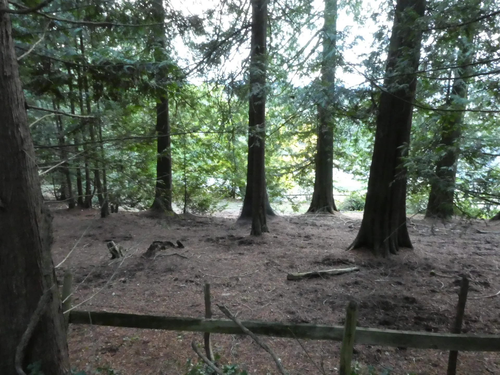 Property at 14042 232 STREET, Maple Ridge, BC