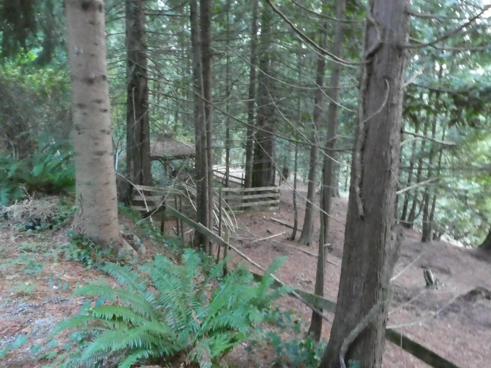 Property at 14042 232 STREET, Maple Ridge, BC