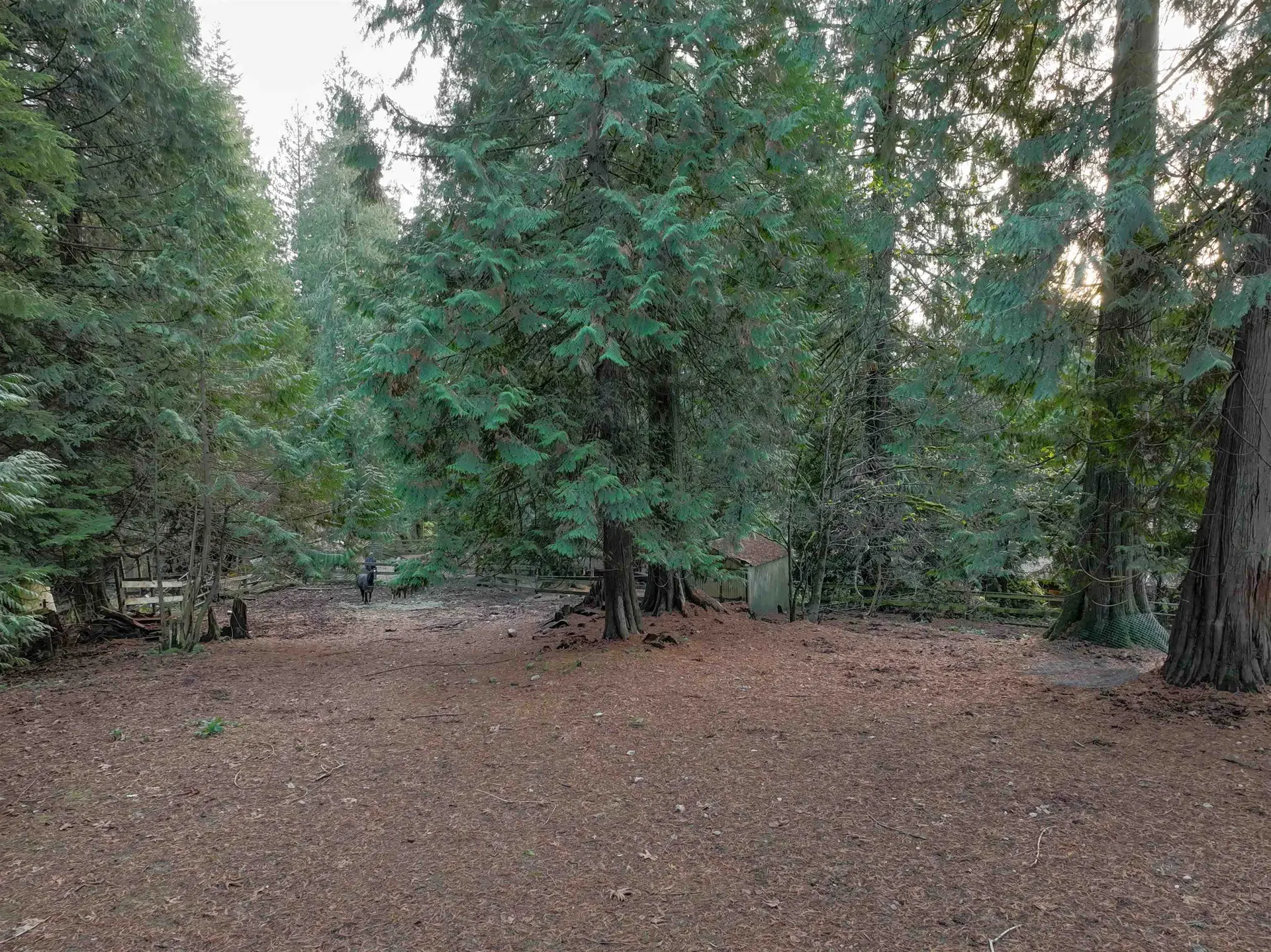 Property at 14042 232 STREET, Maple Ridge, BC