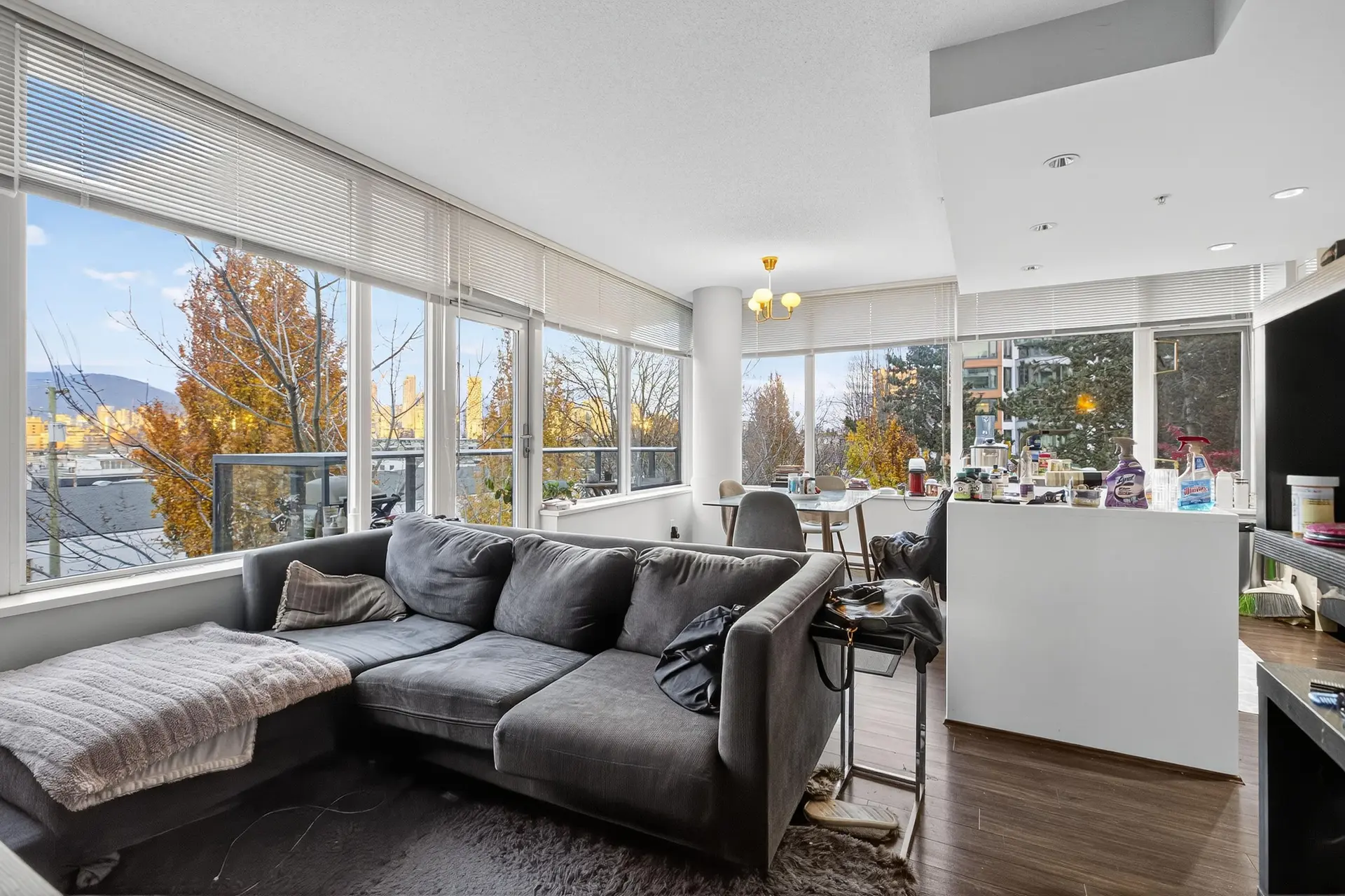 Property at #210 1777 W 7TH AVENUE, Vancouver, BC