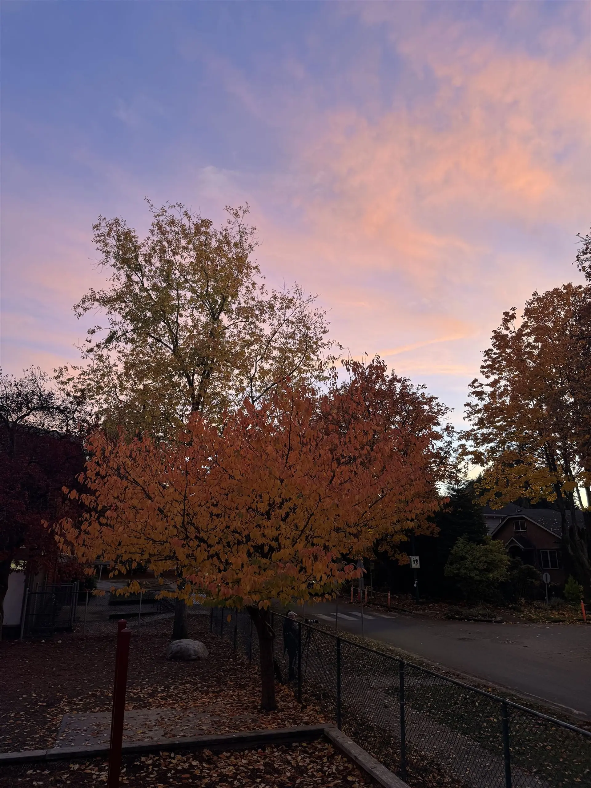 Property at 13257 14A AVENUE, Surrey, BC