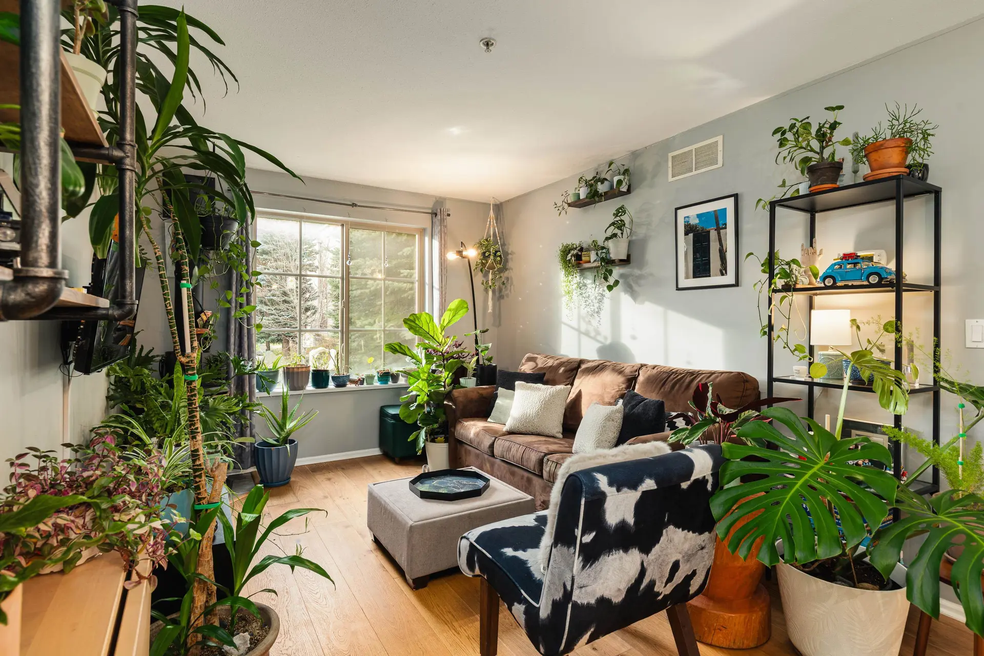 #9 1447 Vine Road - Image 9
