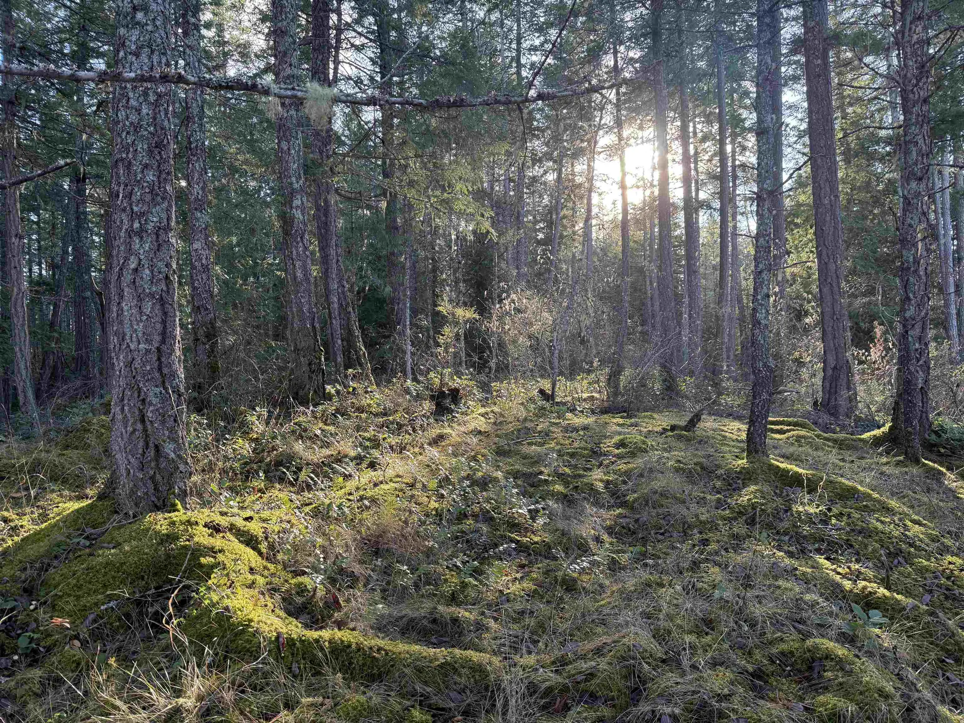 Property at LOT B FRANCIS PENINSULA ROAD, Madeira Park, BC