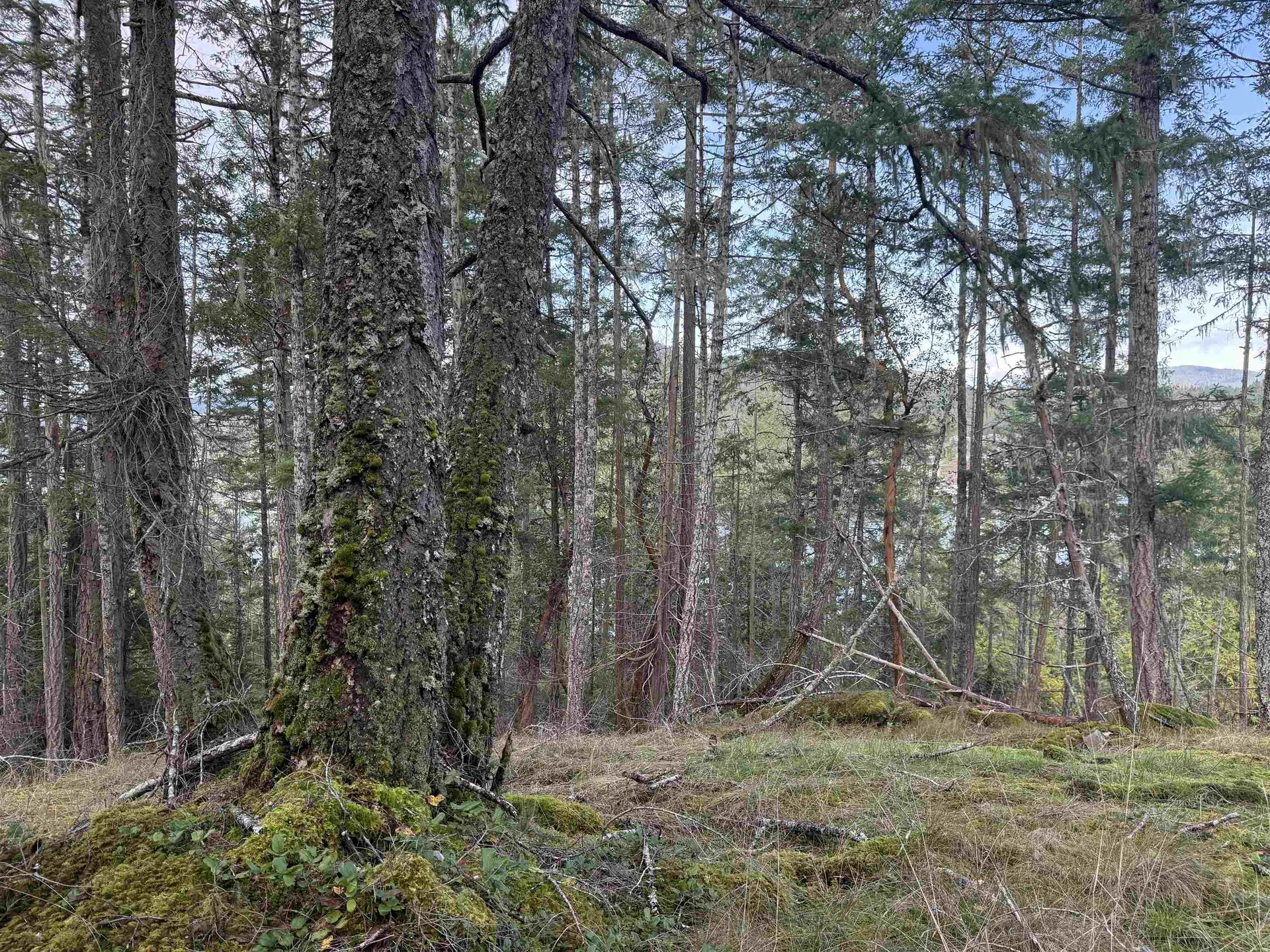 Property at LOT B FRANCIS PENINSULA ROAD, Madeira Park, BC