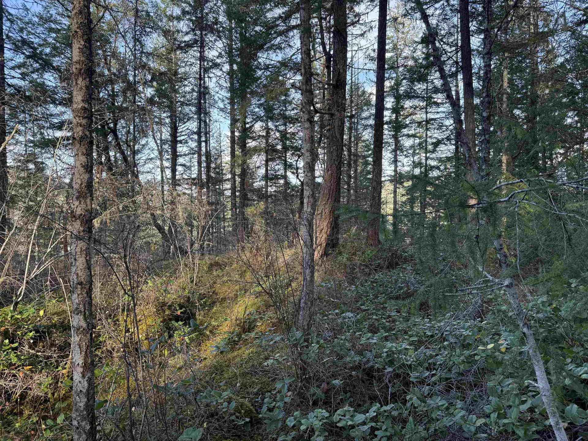 Property at LOT B FRANCIS PENINSULA ROAD, Madeira Park, BC
